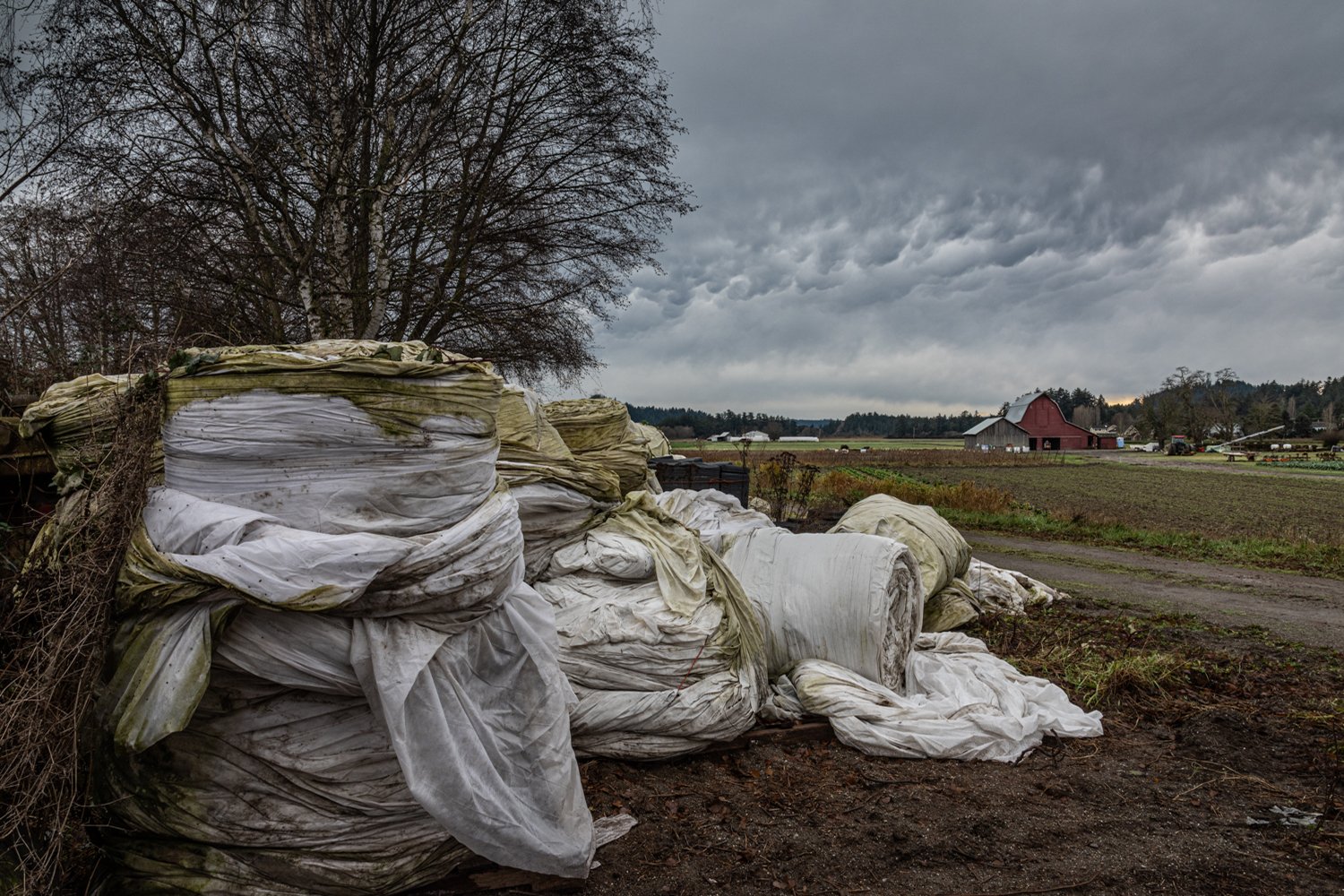 Rolled Up, Row Covers &amp; Red Barn 