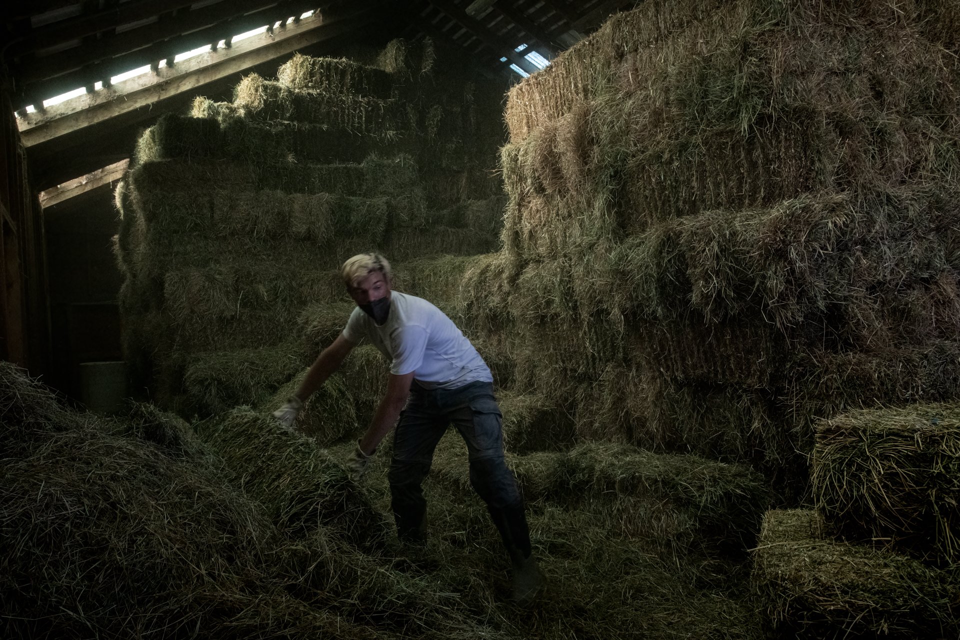 Trevor in the Hayloft