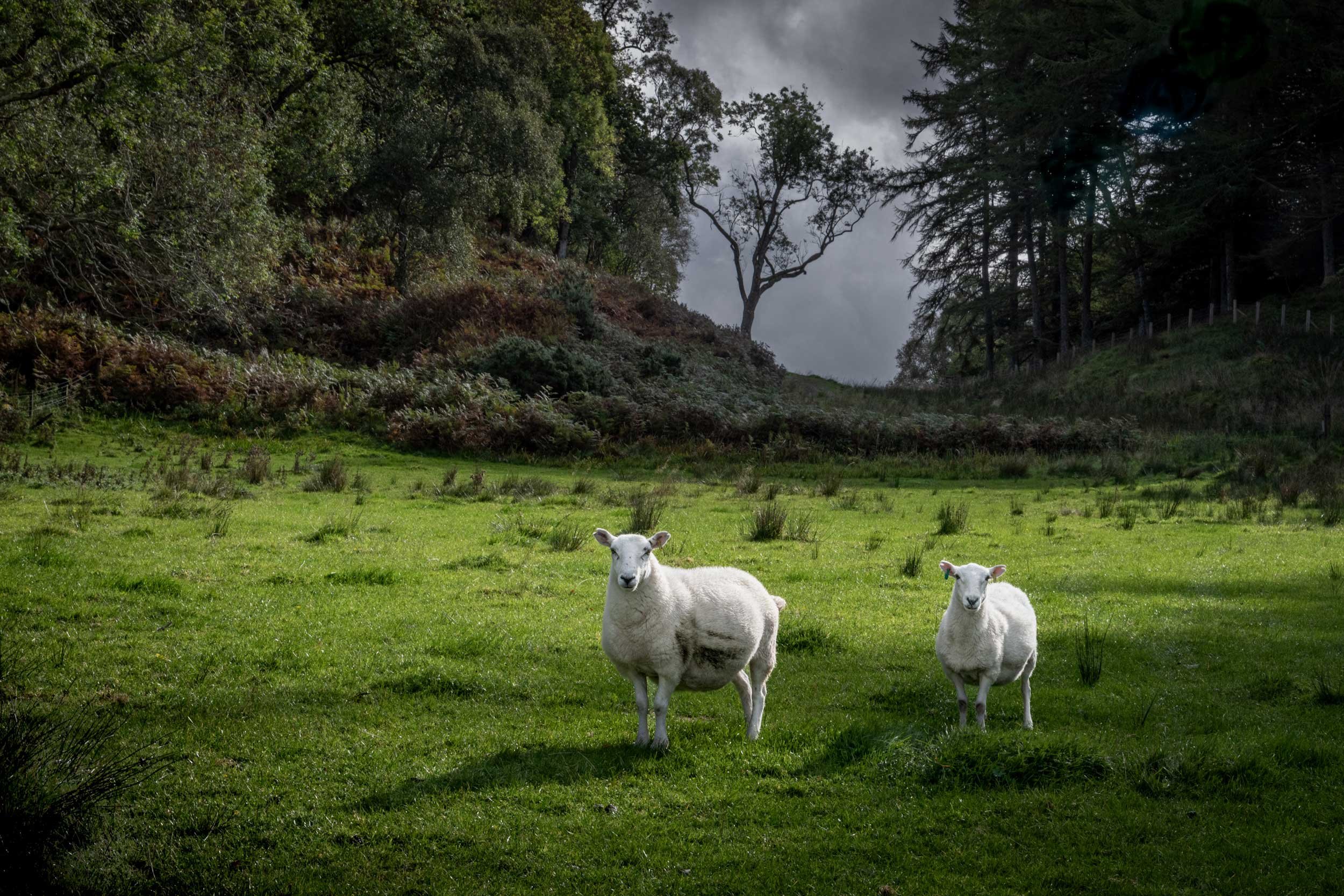  A Sunbreak on a Stormy Day