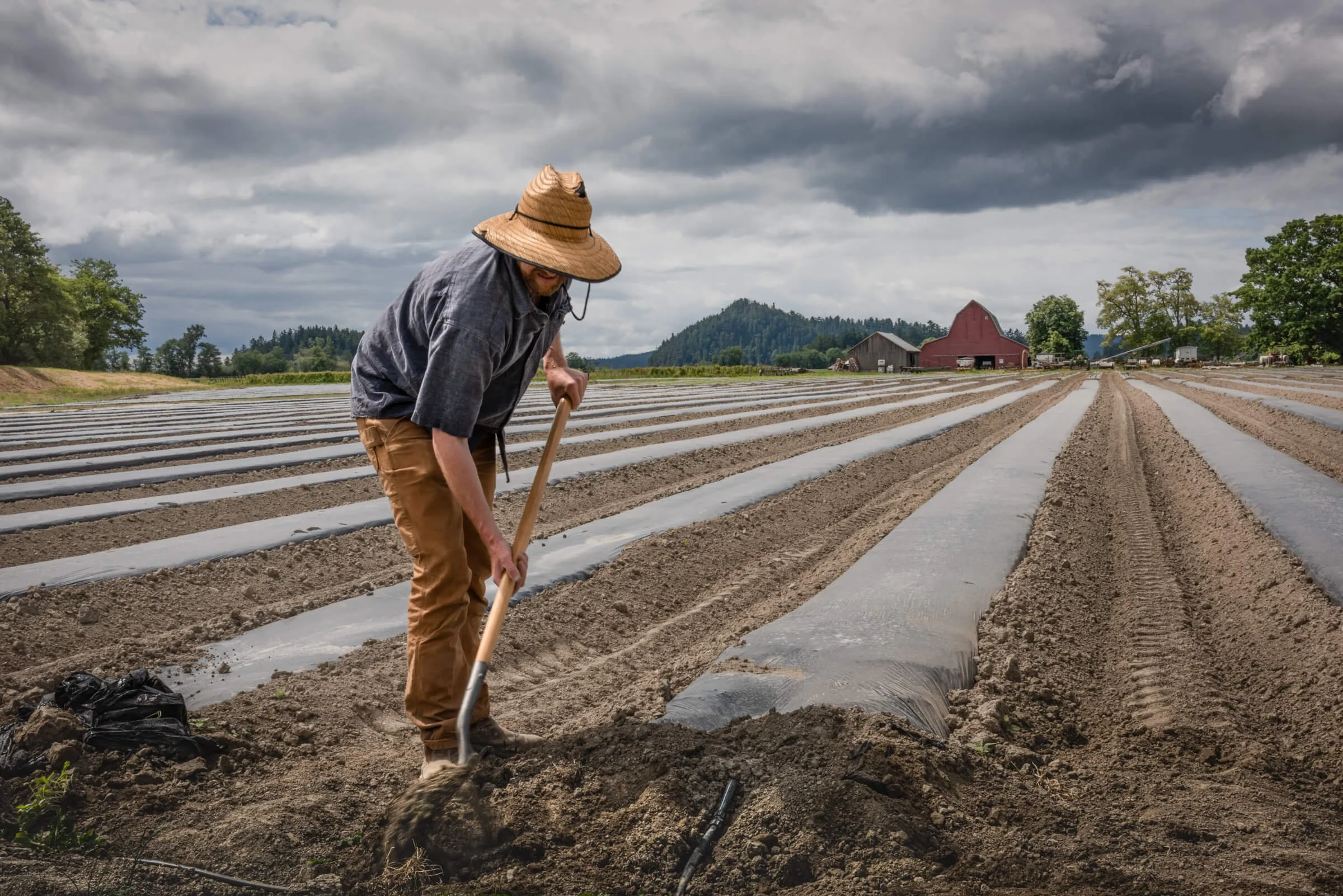 Covering Drip Lines