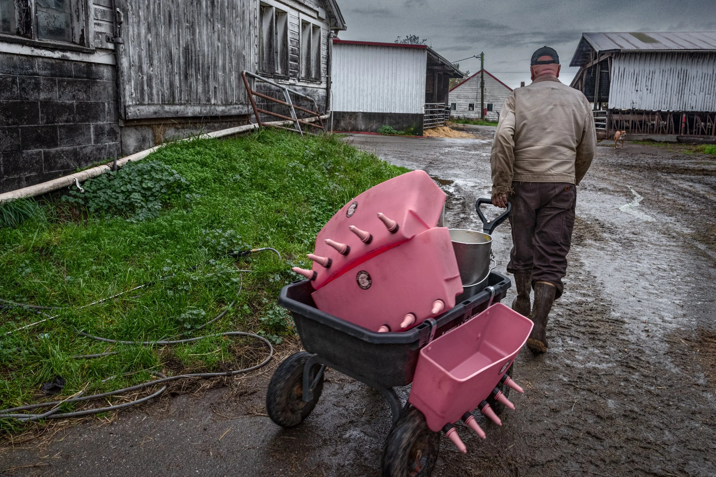 Alan with Calf Feeders