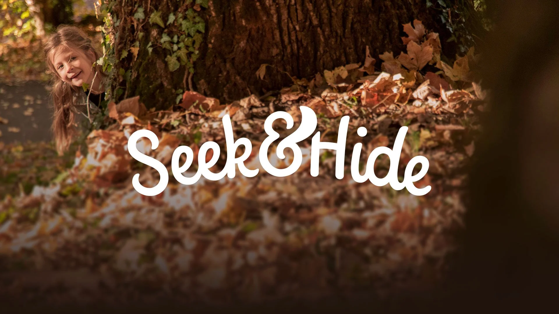 Seek & Hide Holiday Homes logo over an autumn woodland scene with a squirrel.