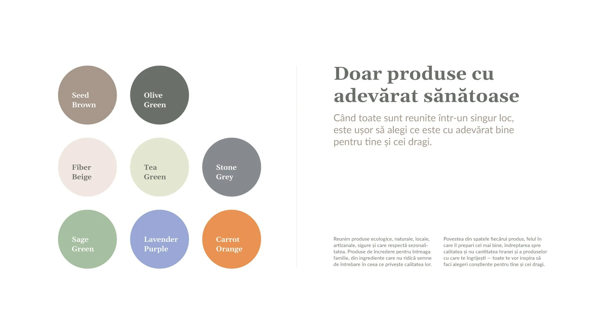 Meliora brand colour palette featuring muted earthy greens, warm neutrals, blue and orange, paired with serif headlines and a warm sans-serif typeface.