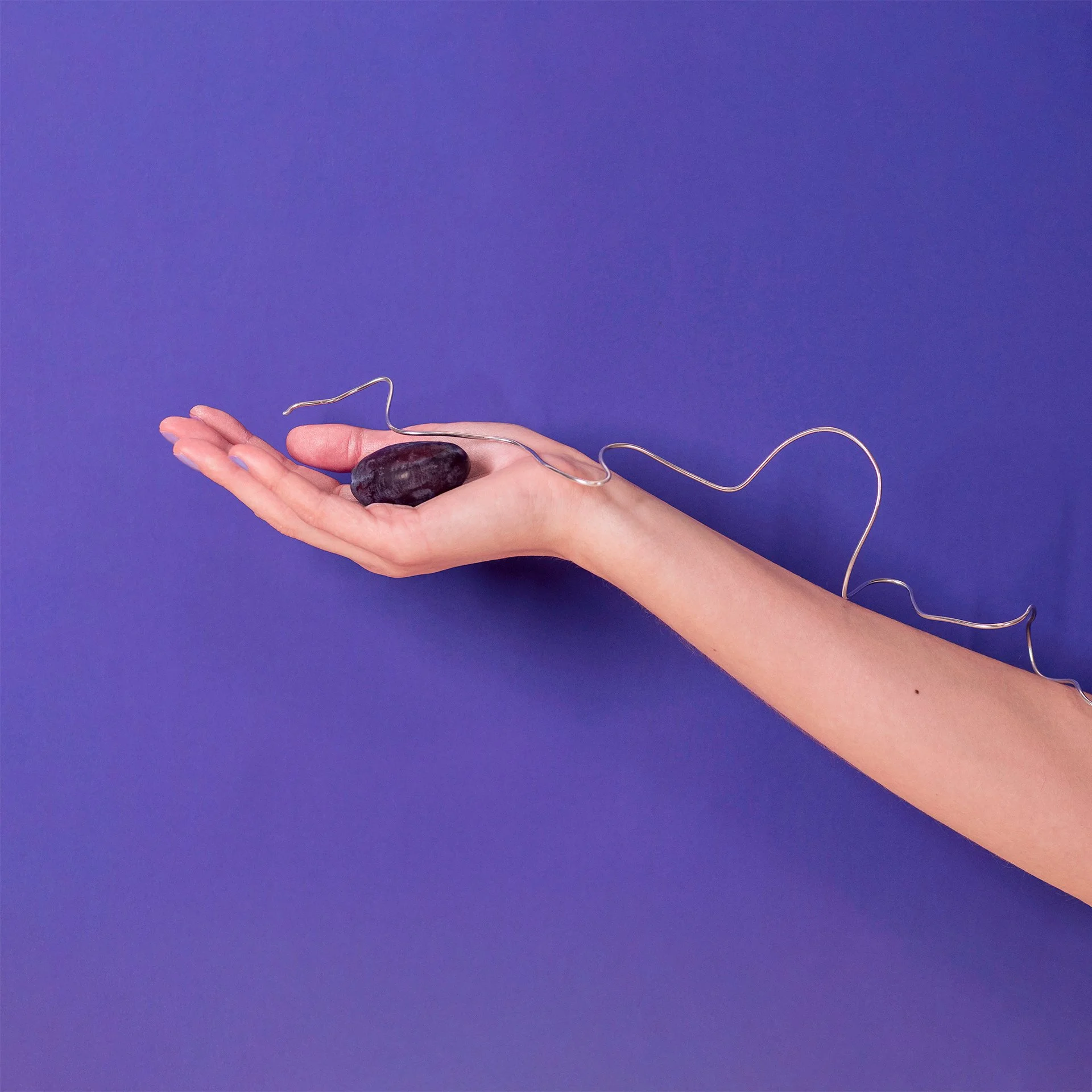 Hand holding a plum against a deep purple background.