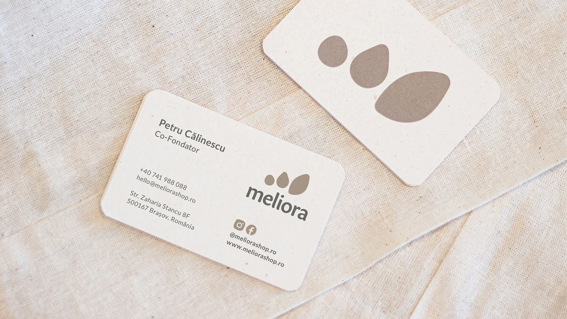 Meliora business cards featuring the seed-shaped logo, typography and an earthy colour palette on a textured surface.