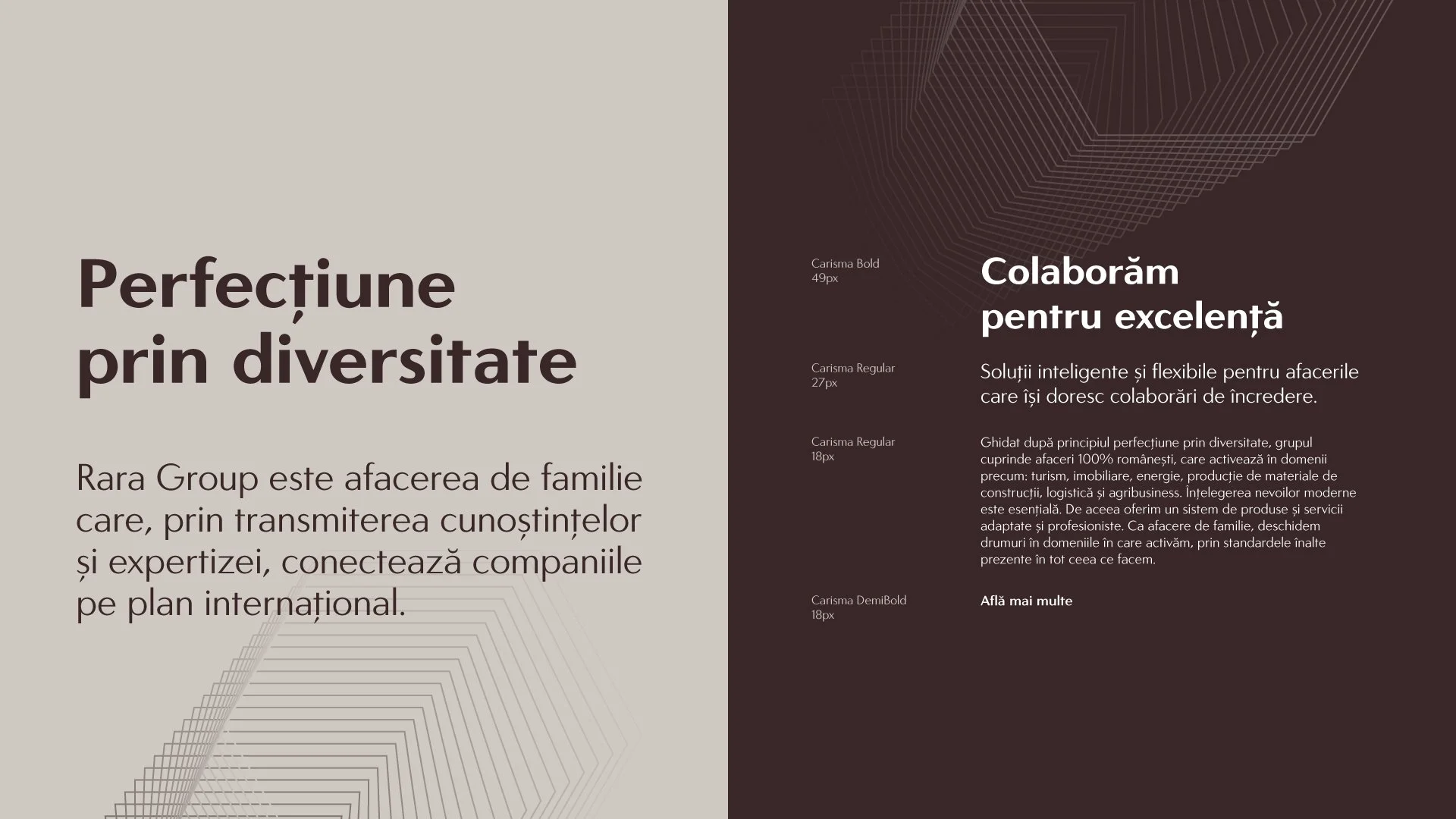Rara Group brand guidelines showing Romanian brand messaging, typography, layout principles and fine-line graphic elements across cream and burgundy pages.