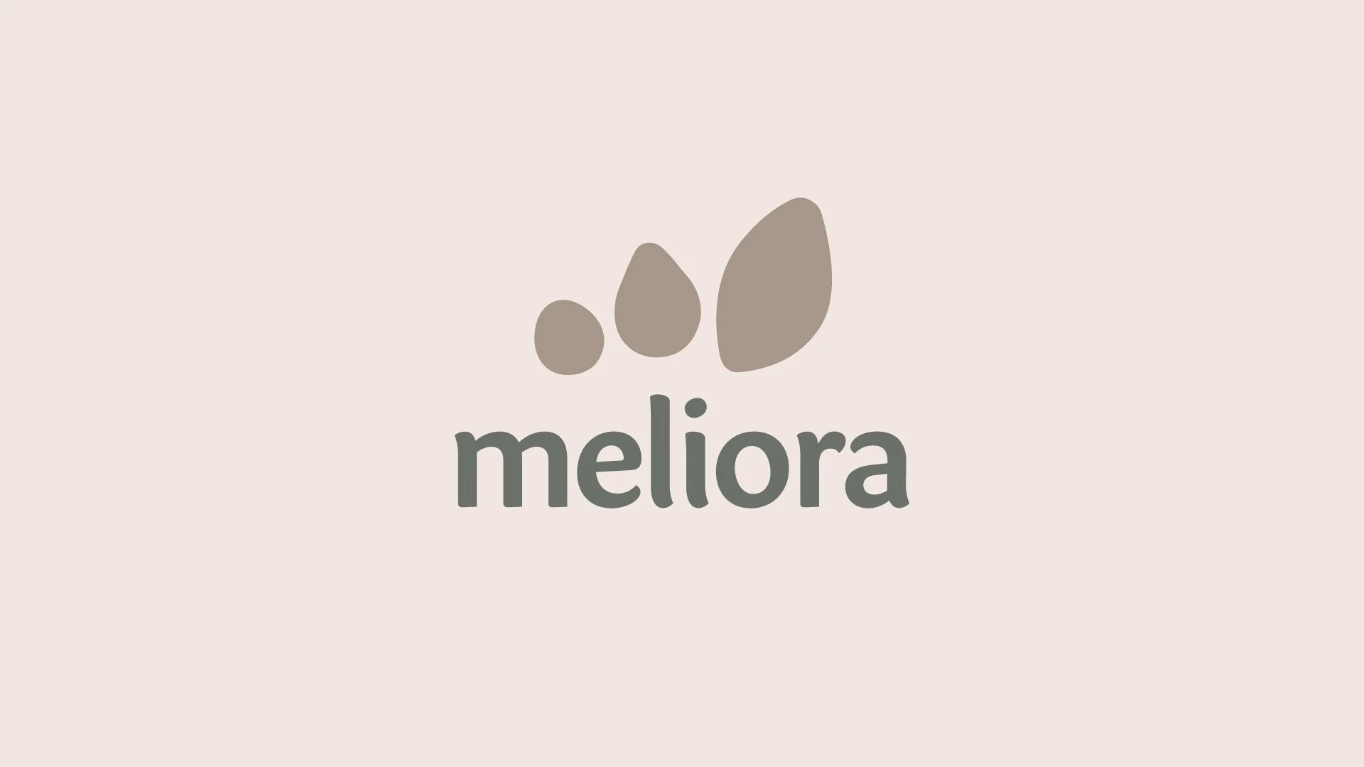 Meliora logo featuring three organic shapes above a lowercase wordmark on a cream background.