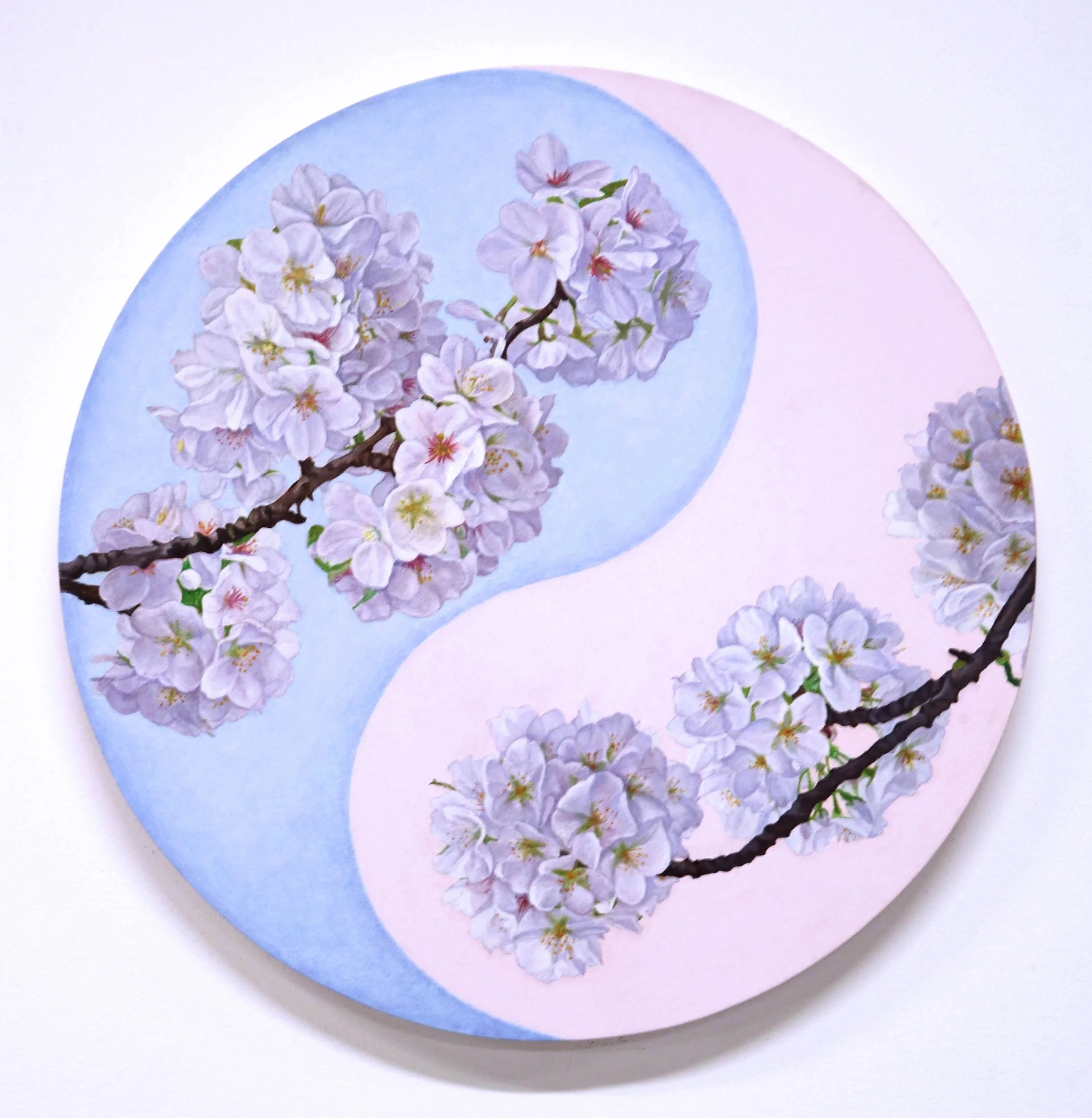 'Yin Yang Cherry', oil on canvas, 50 x 50 cm