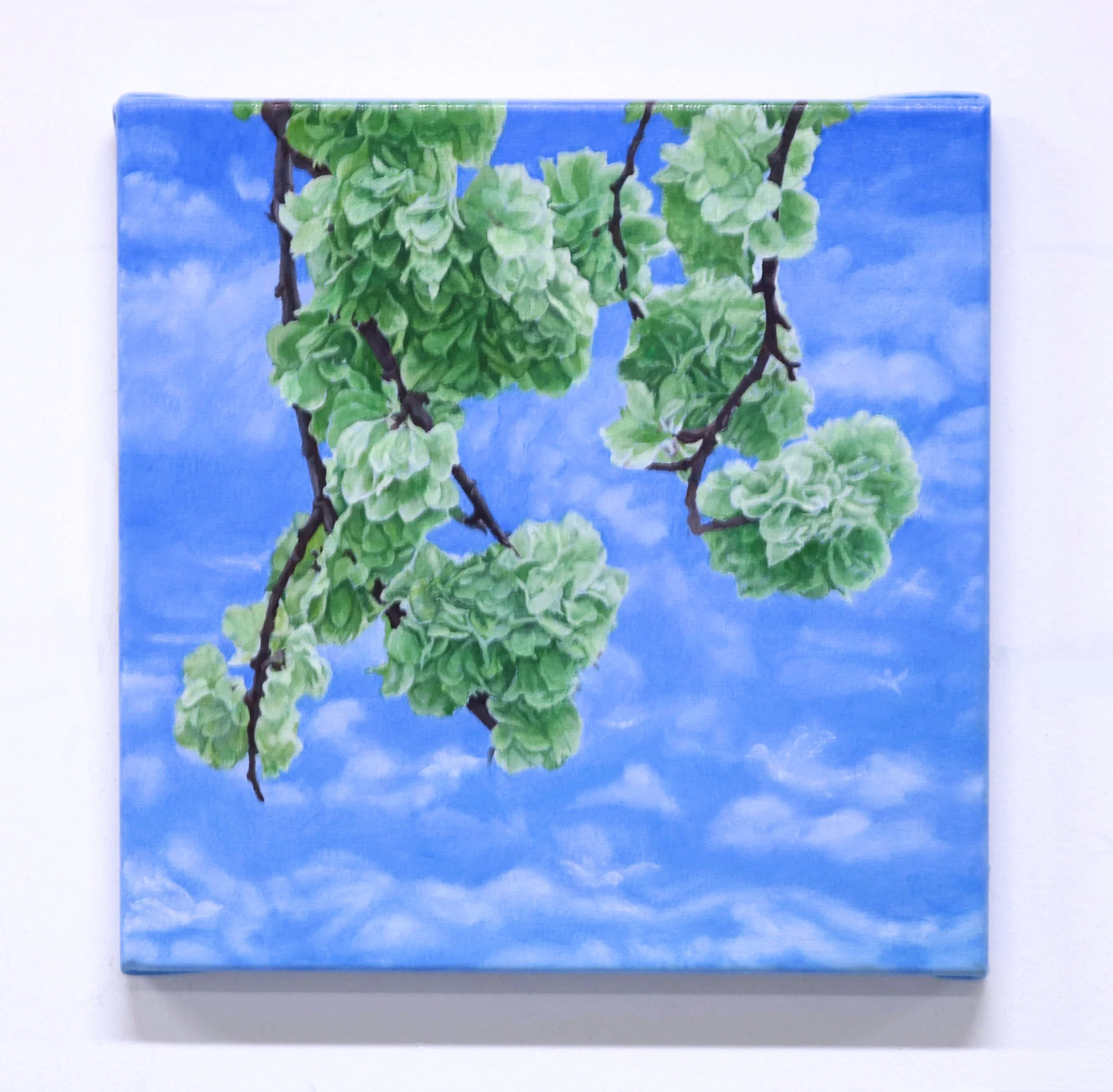 'Sky with Green 2', oil on canvas, 35 x 35 cm