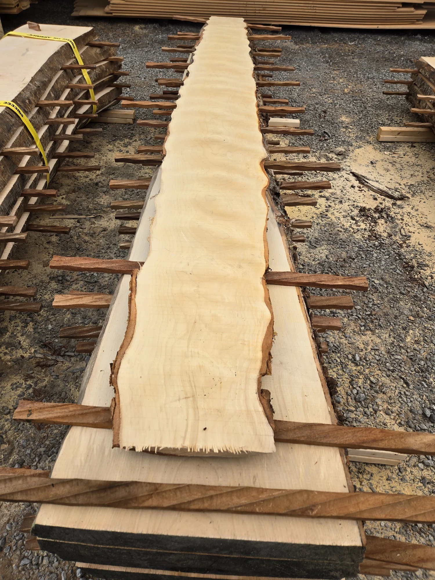 Tree Slab 9 In Store — Stark Mountain Woodworking
