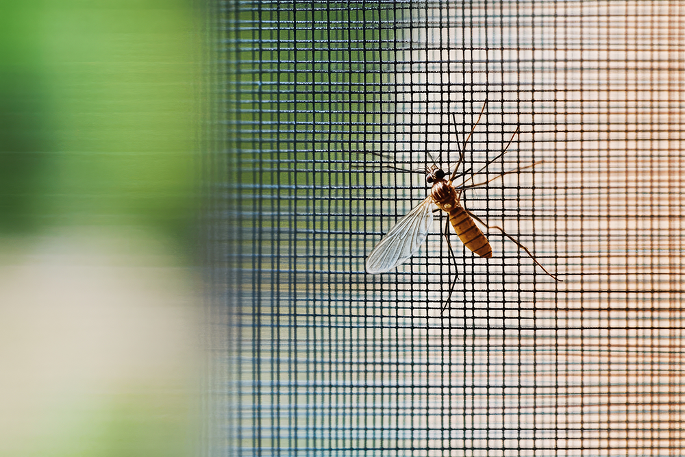 The Invisible Upgrade: Why Retractable Screens are the Smart Choice for Your TN and GA Home