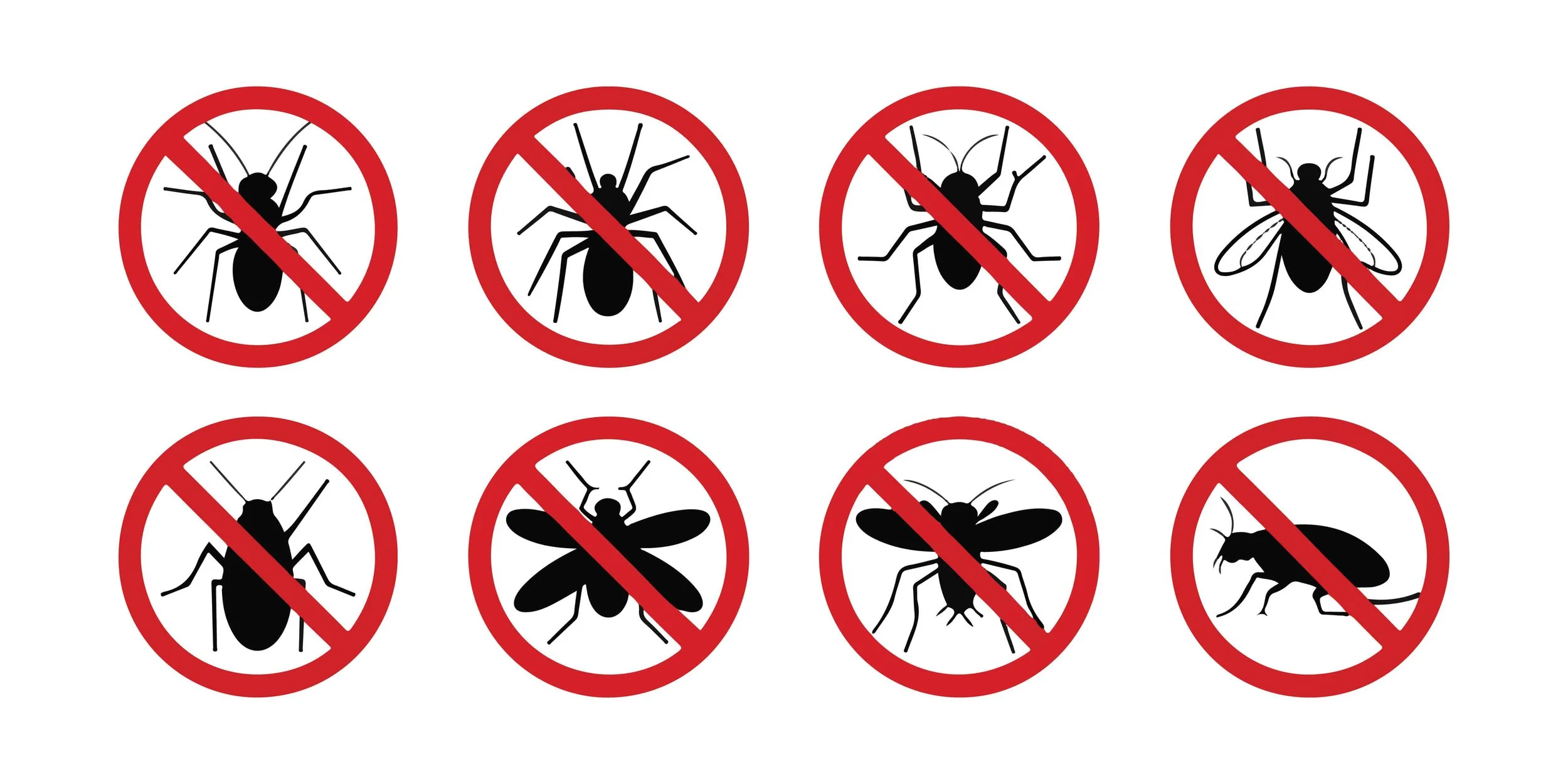 Keep the View, Lose the Pests: Why Tennessee Homeowners are Switching to Automated Bug Screens