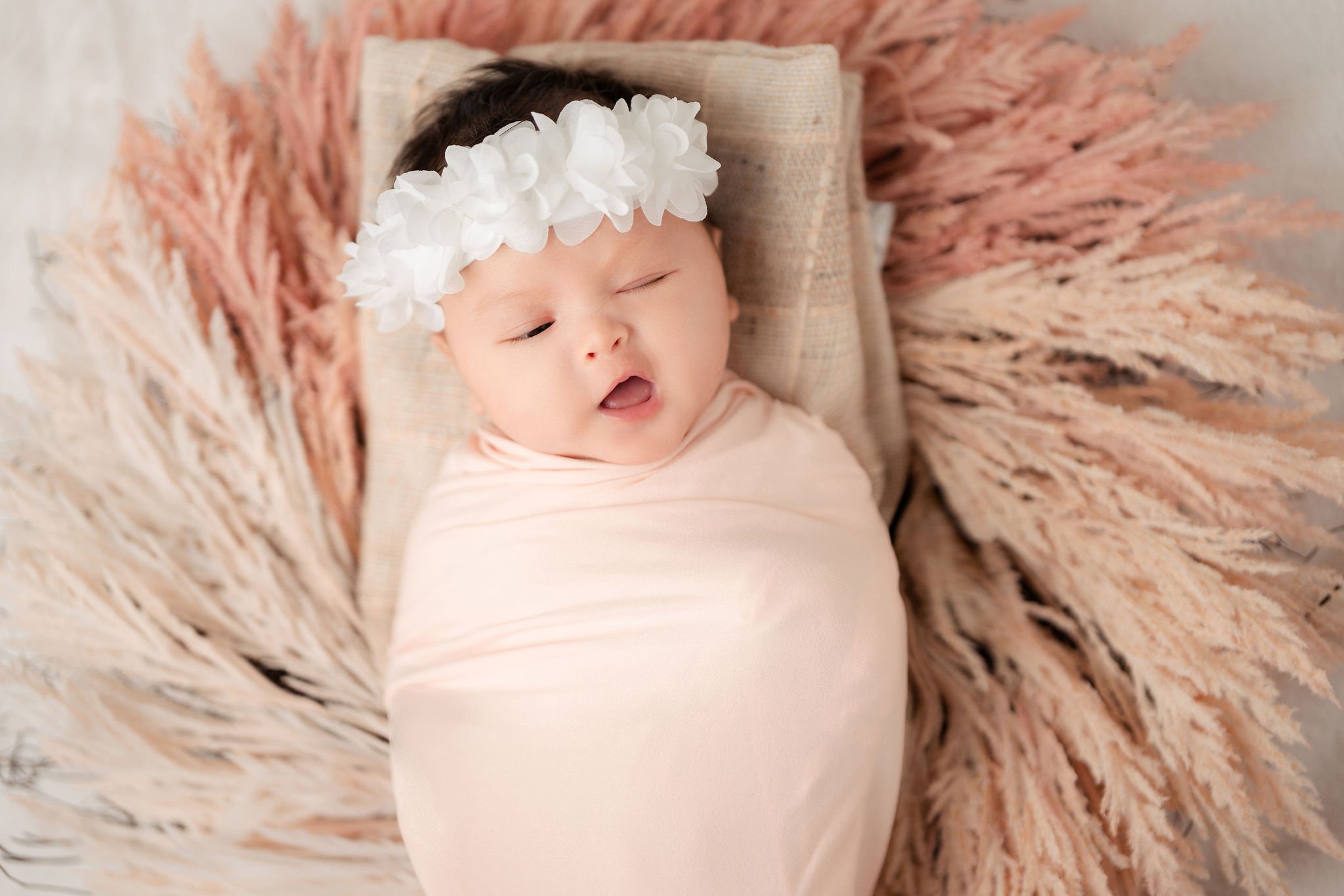 DSC01891x.jpg