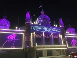 Unity Day/Purple At The Palace