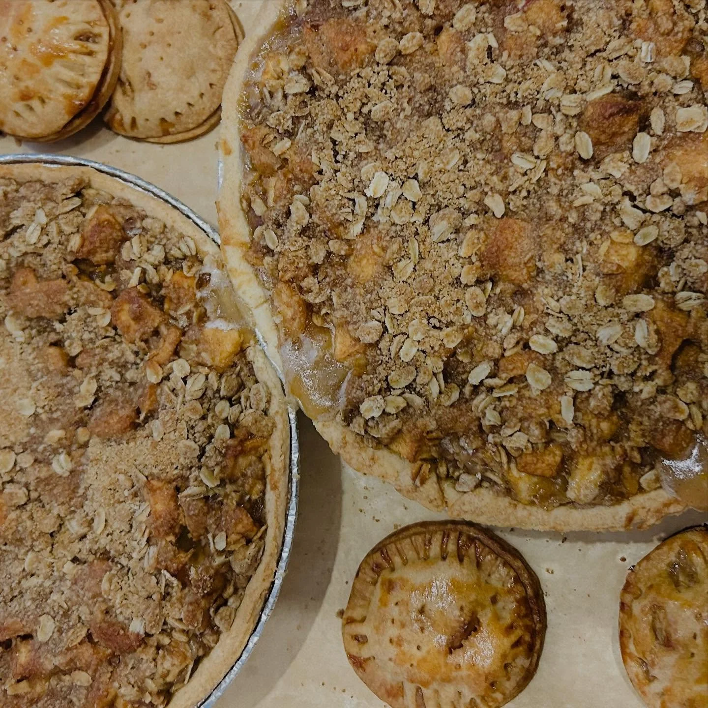 Deep Dish Apple Oat-Crumb Crisp &amp; the cutest little Apple Hand Pies! Get your Thanksgiving vibes on with CuisineArts 😋🥧🍎🍁🦃 #cuisinearts