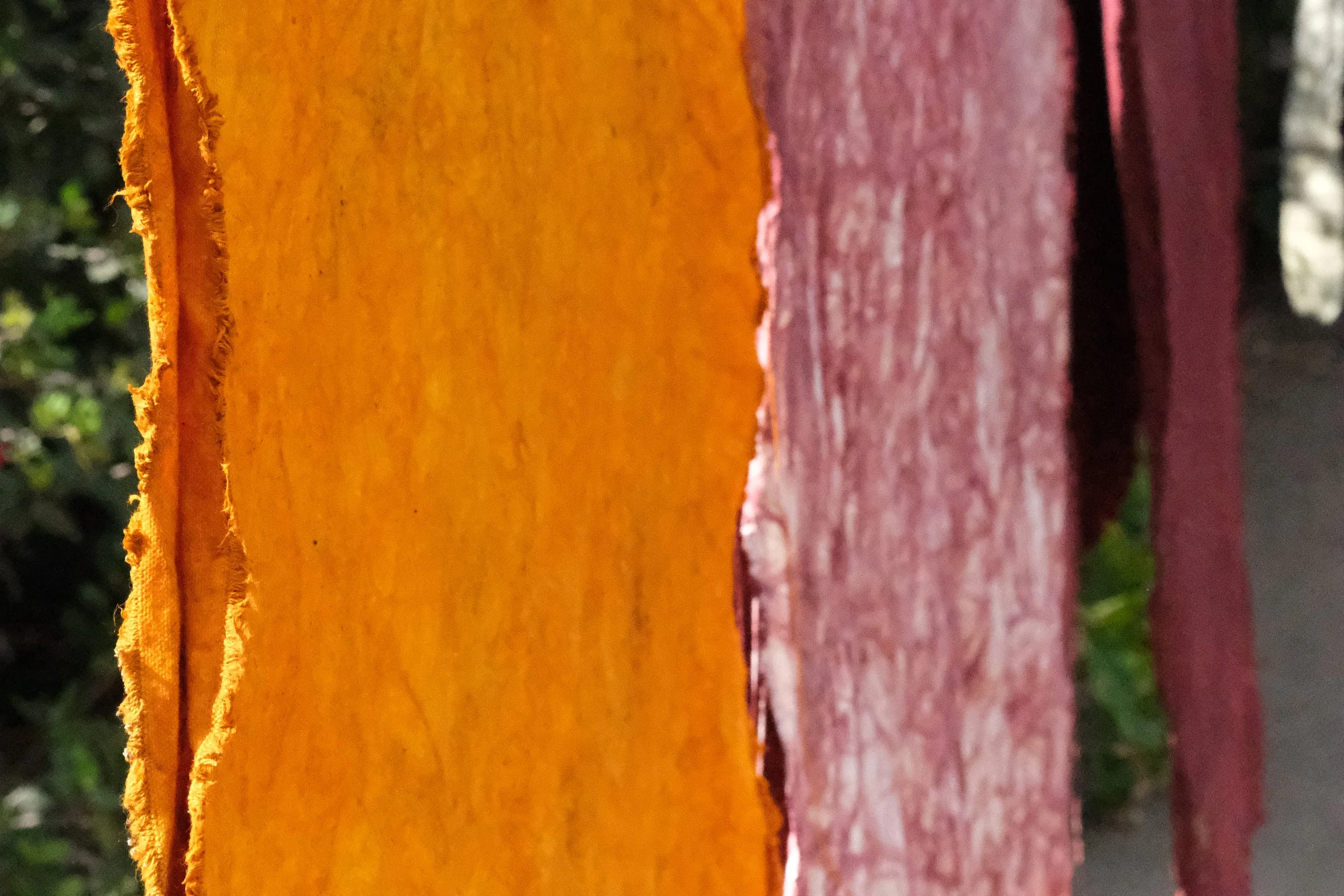 DSCF3862.JPG
