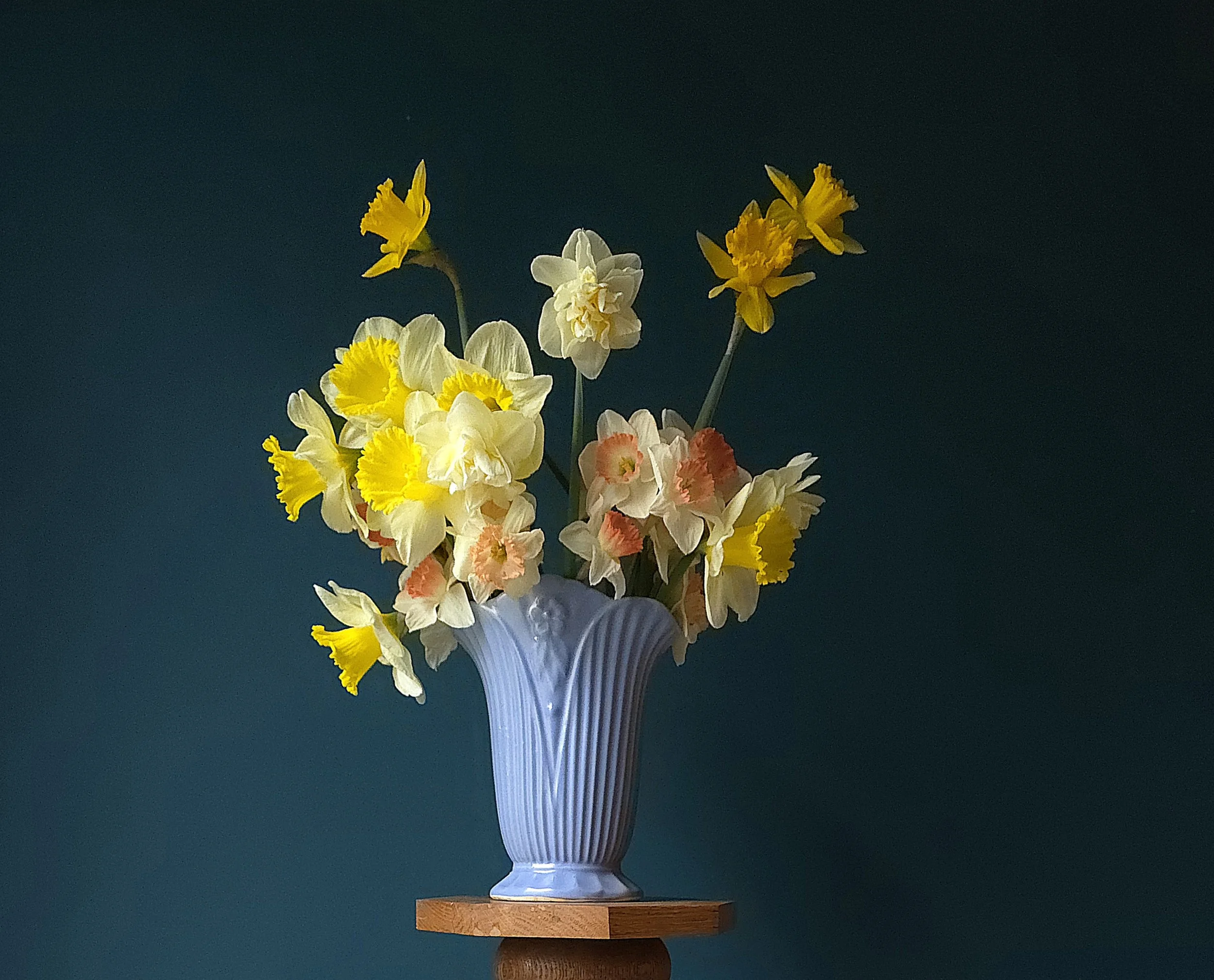 2026 Weekly Spring Blooms: 4 Weeks