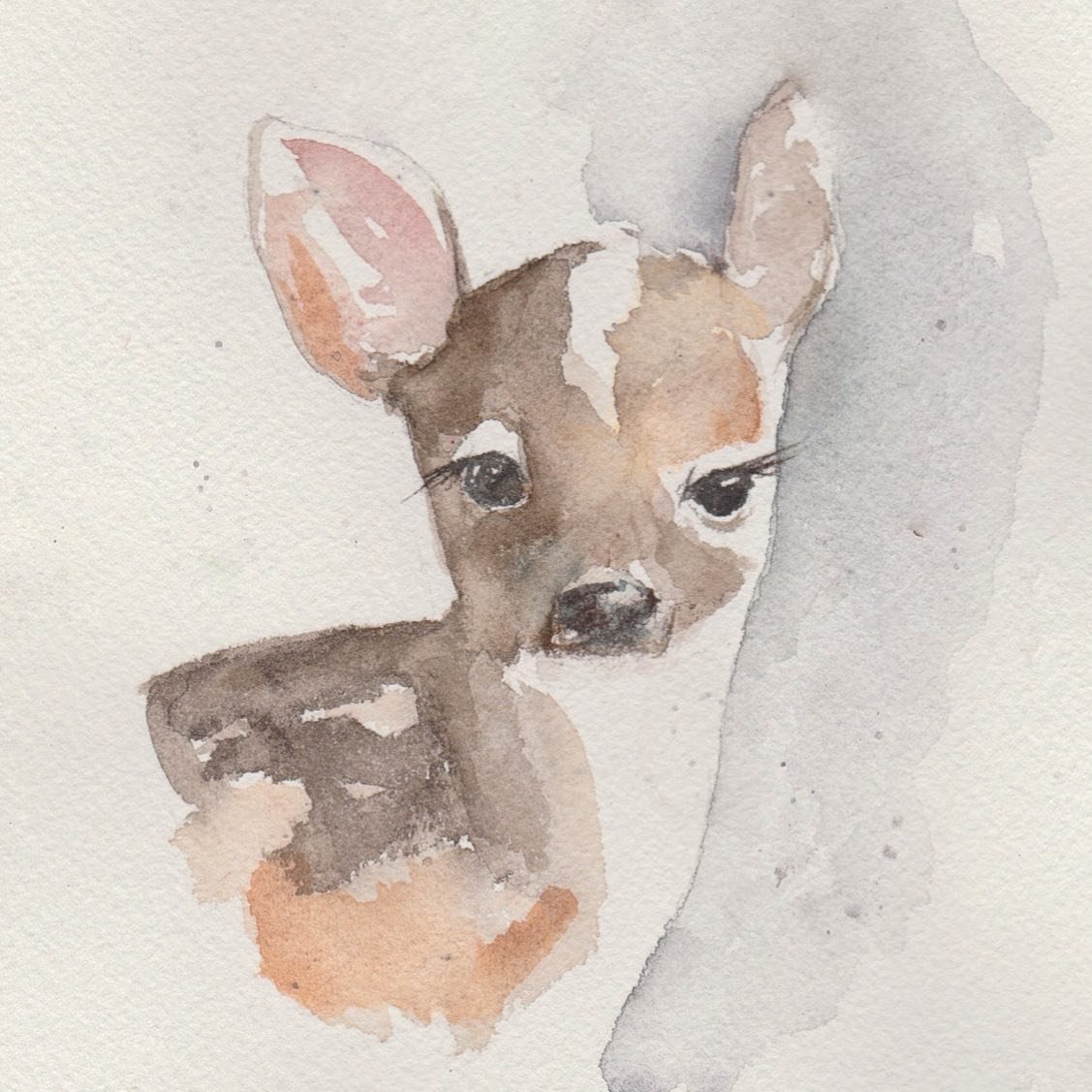 The Faces of Deer