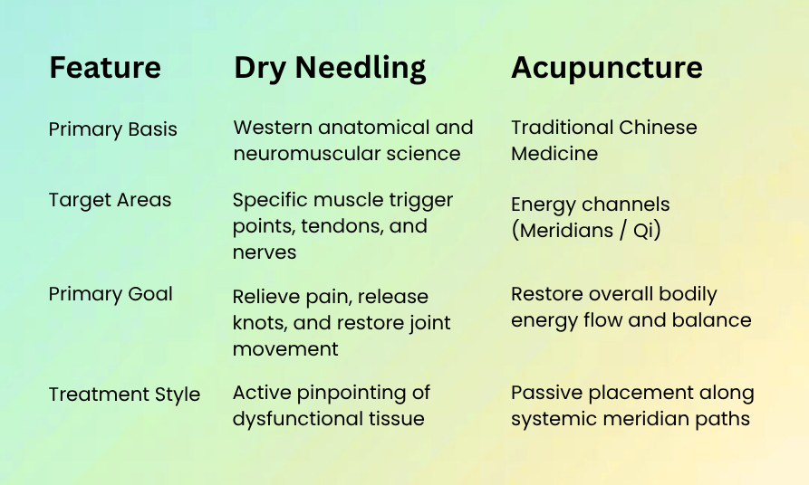 image showcasing the differences between dry needling and acupuncture