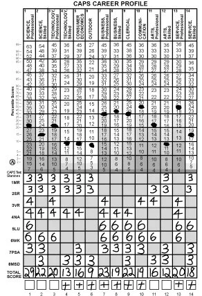 Self-Scoring COPSystem - VIA Paper Version — EdITS: Career Guidance and ...