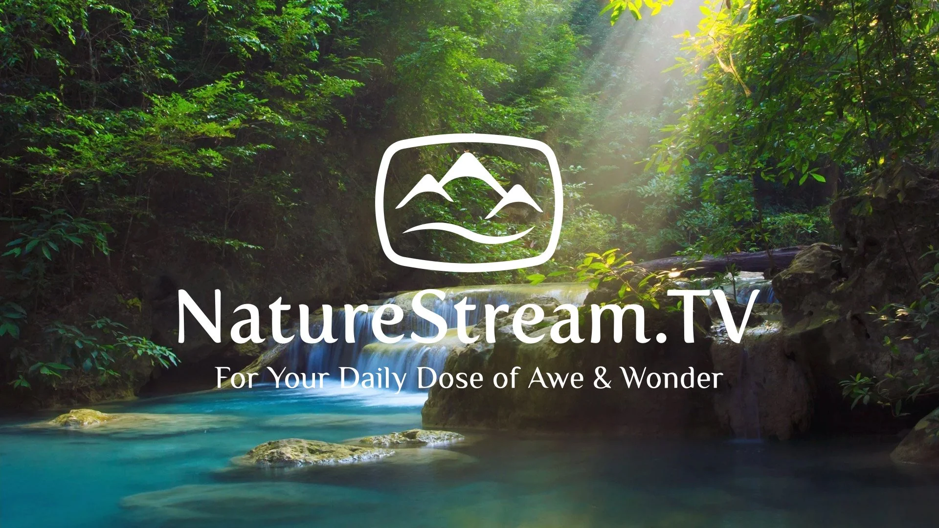 NatureStream.tv Partners with FAST Channels TV to Distribute 24/7 Ambient Nature Streaming Channel