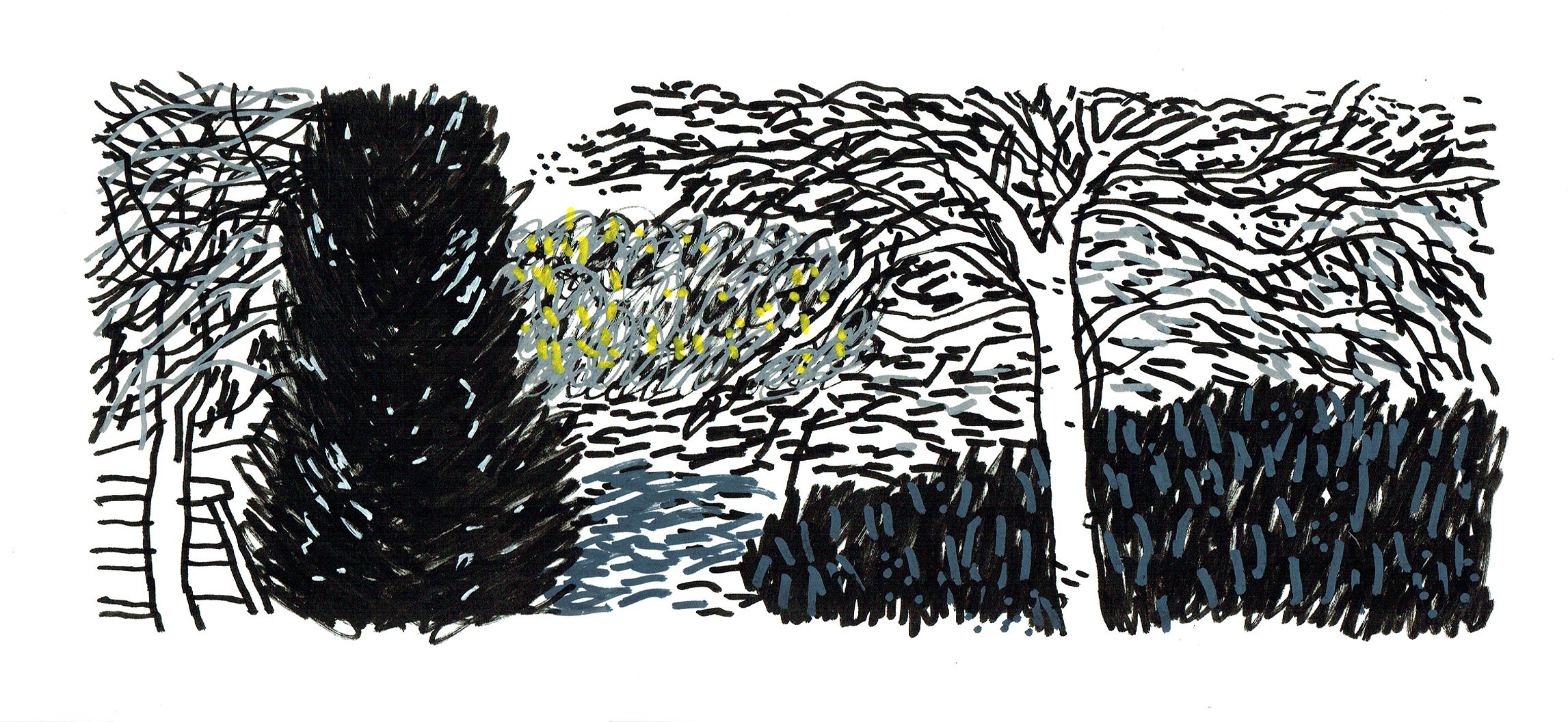 jameshobbs_longdrawing1.jpeg