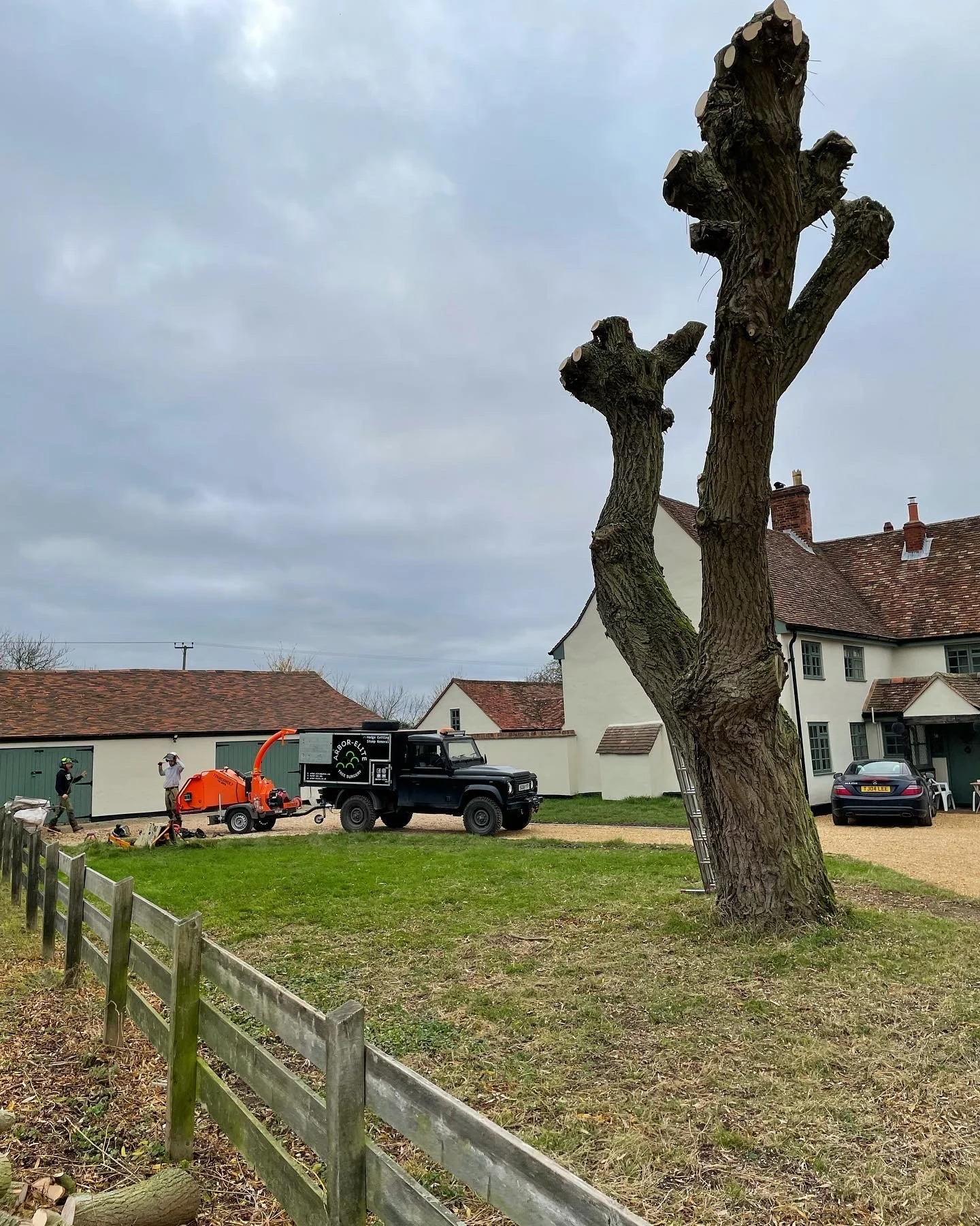 Tree Surgery in Halstead — Arbor Elite Tree Surgery