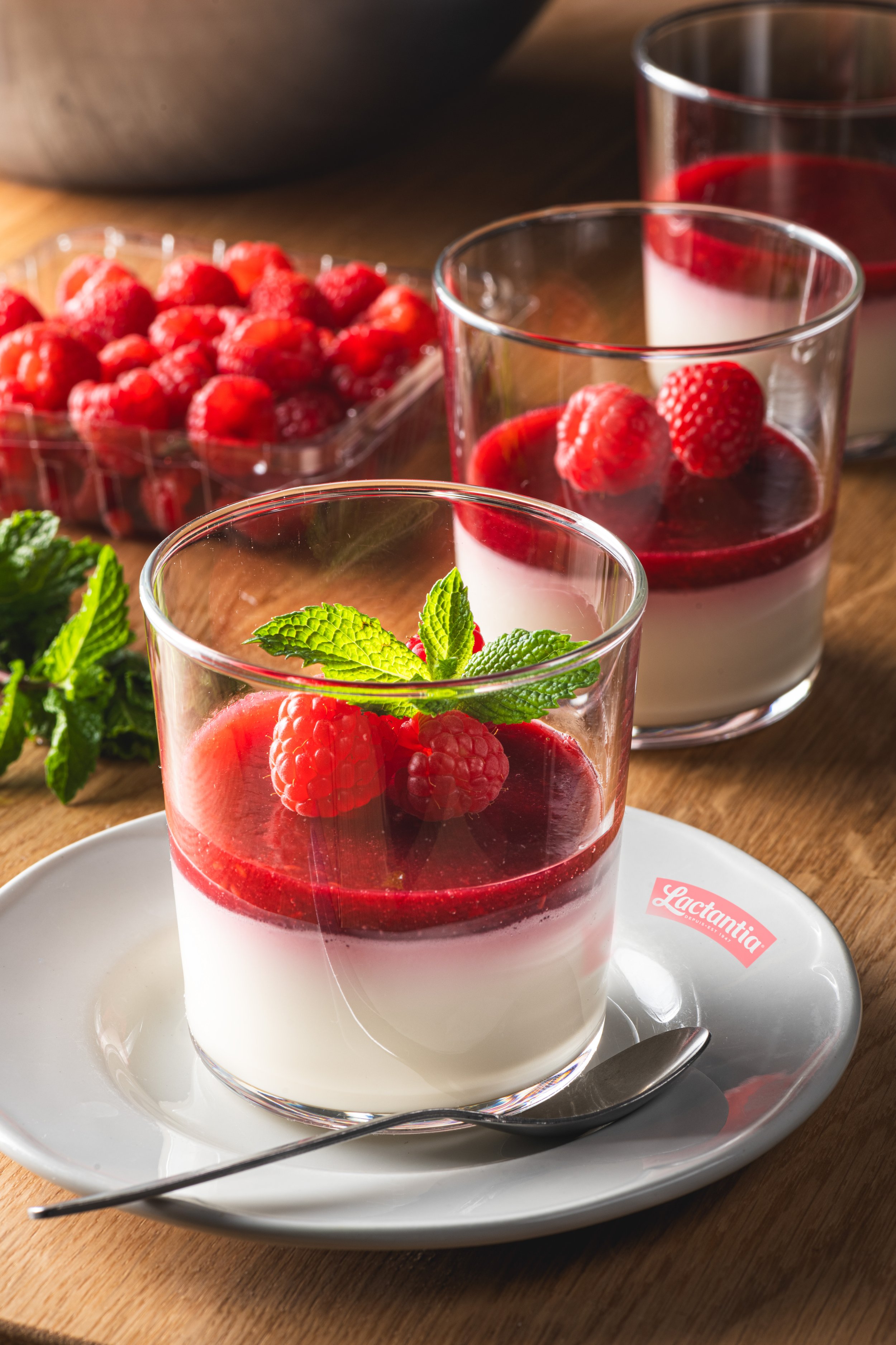 12 Raspberry Panna Cotta 0978 Lactantia Logo.jpg