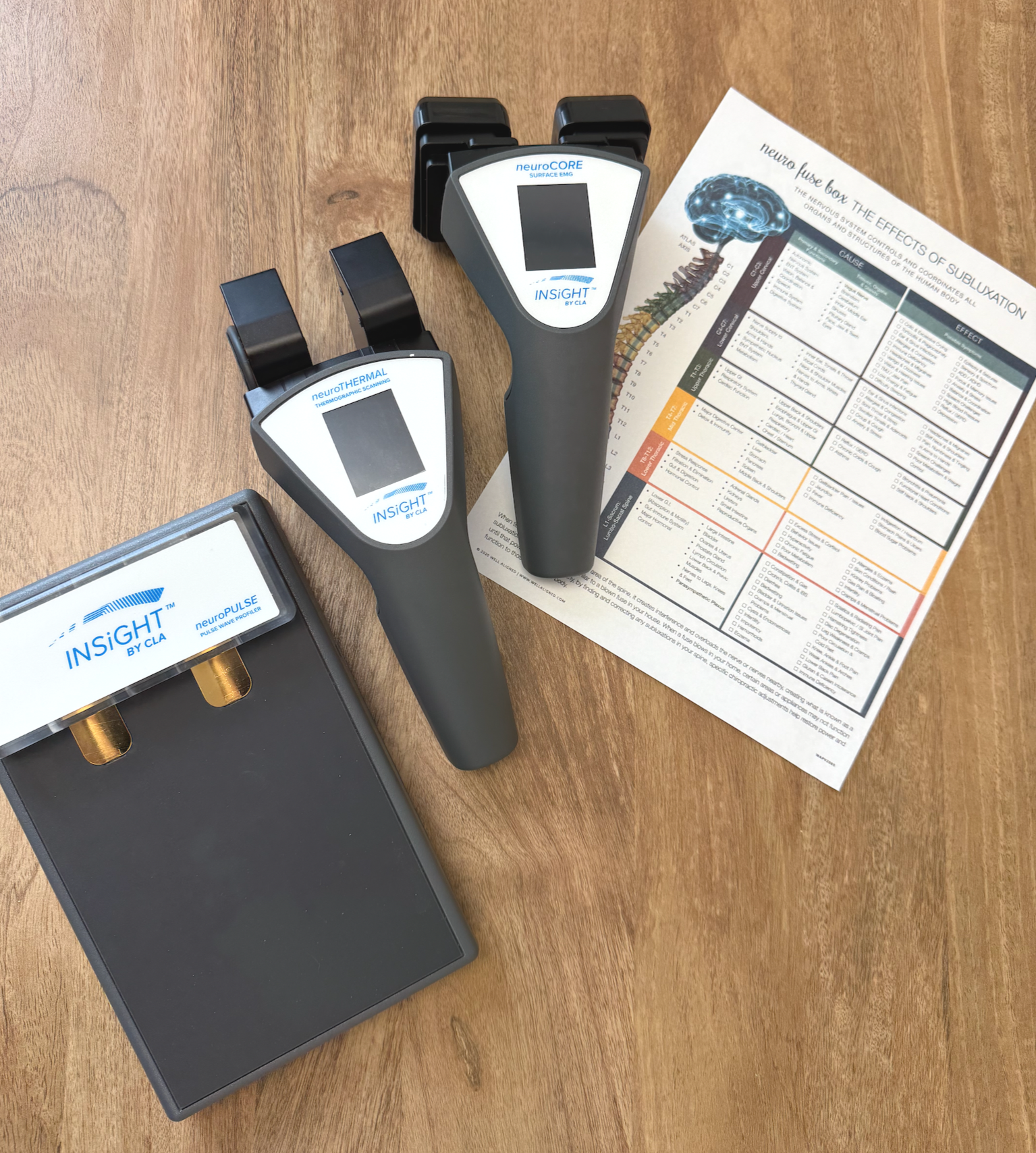 nervous system scans, chiropractic for kids, chiro for moms, nervous system regulation, CLA Insight Scans, chiro tools