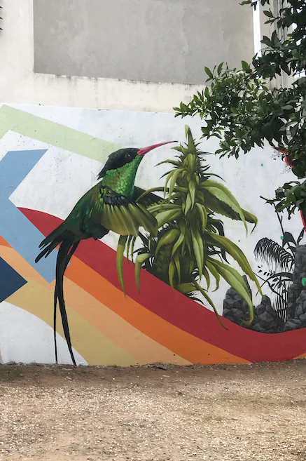 Screen Shot 2021-02-15 at 3.21.18 PMrt.png