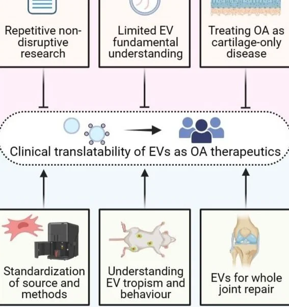 Graphical Abstract.jpg