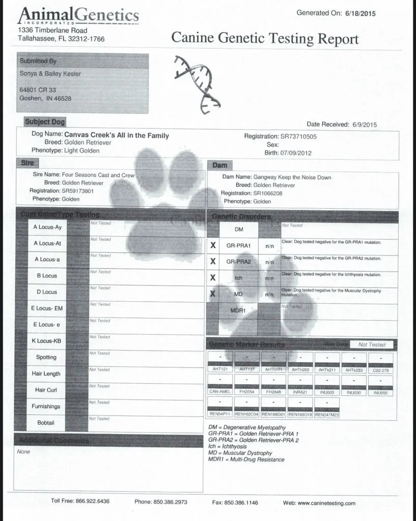 Noah Genetic Testing.jpg