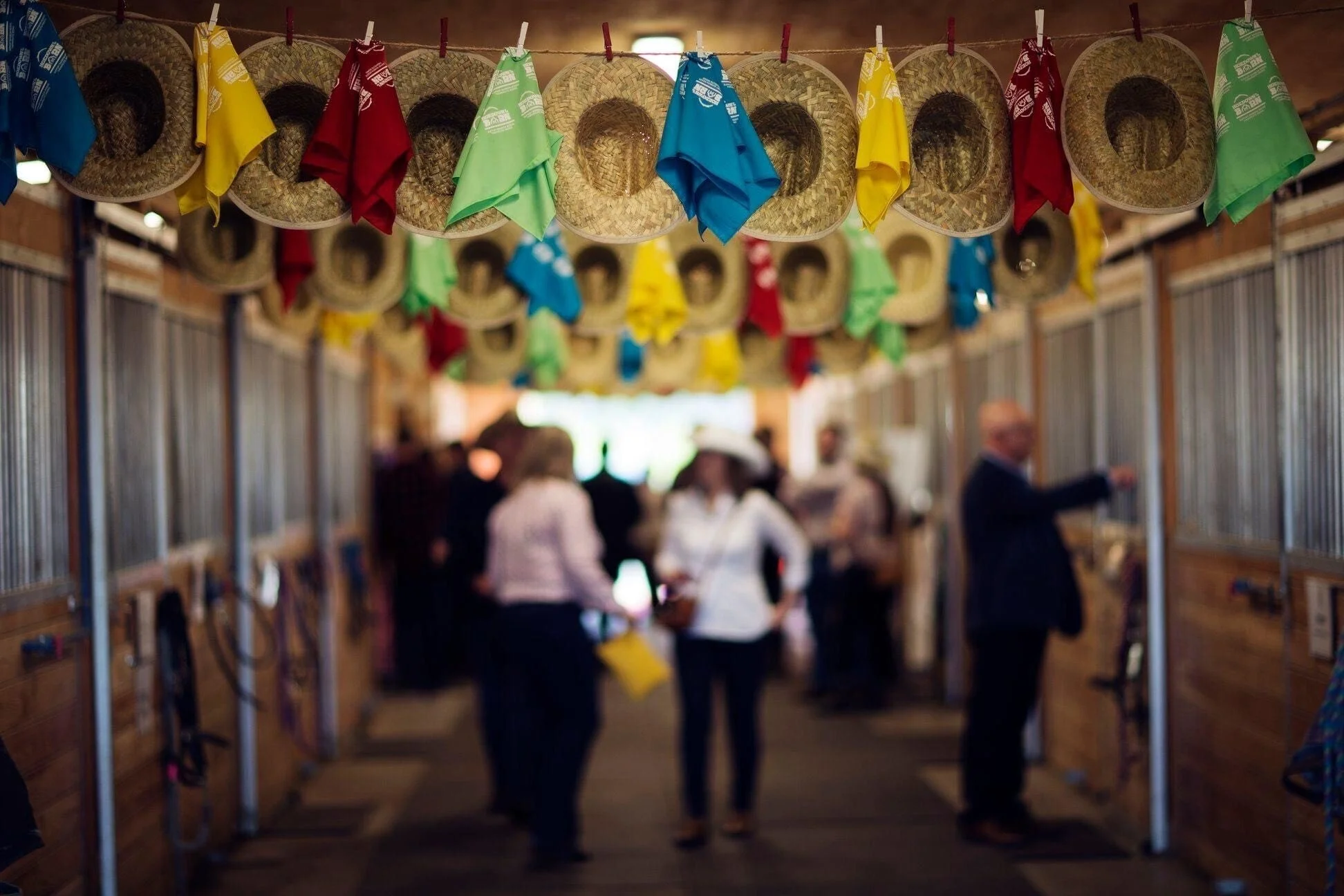 image_6483441 (1).JPG