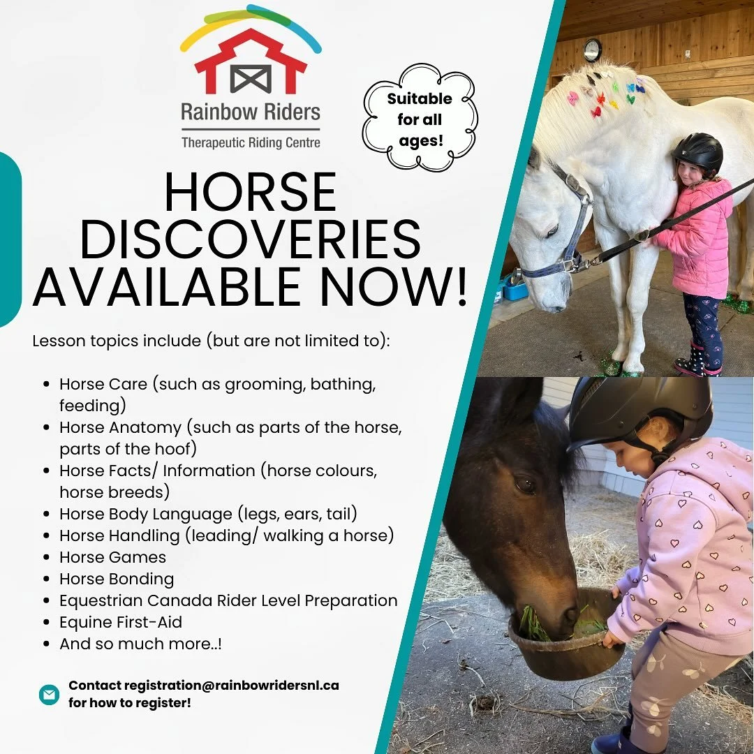 Hi everyone! We are happy to share that we have some Horse Discovery lessons available for our Early-Fall 2025 semester, which is currently taking place! 

Horse Discovery is Rainbow Riders primary unmounted program which allows participants to inter