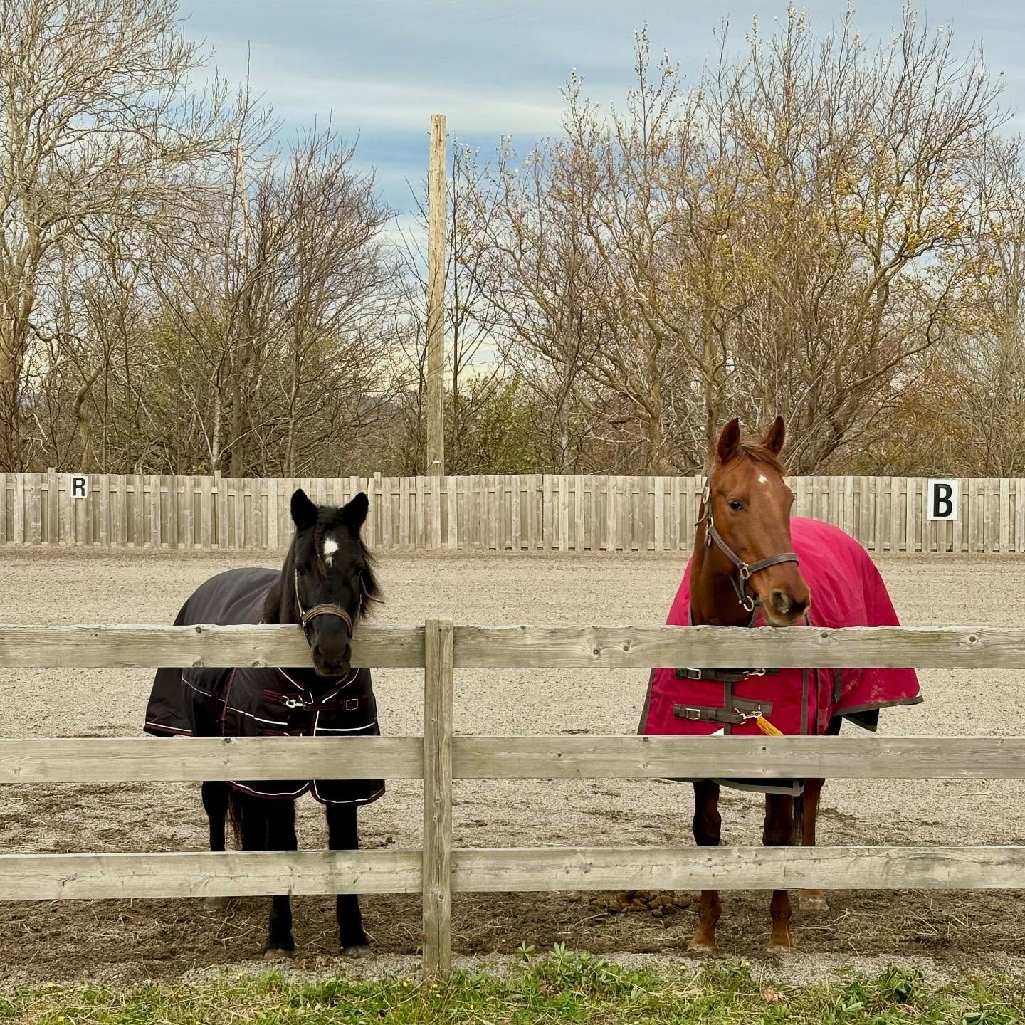 Stella &amp; Dee have been enjoying lots of quality time together over break week! They can&rsquo;t wait to see you all again soon 🌈