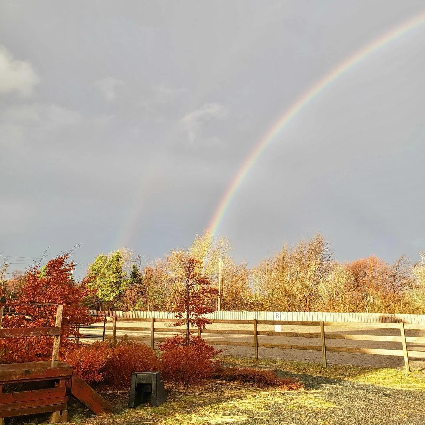 A double rainbow over Rainbow Riders will always feel special ❤️🌈