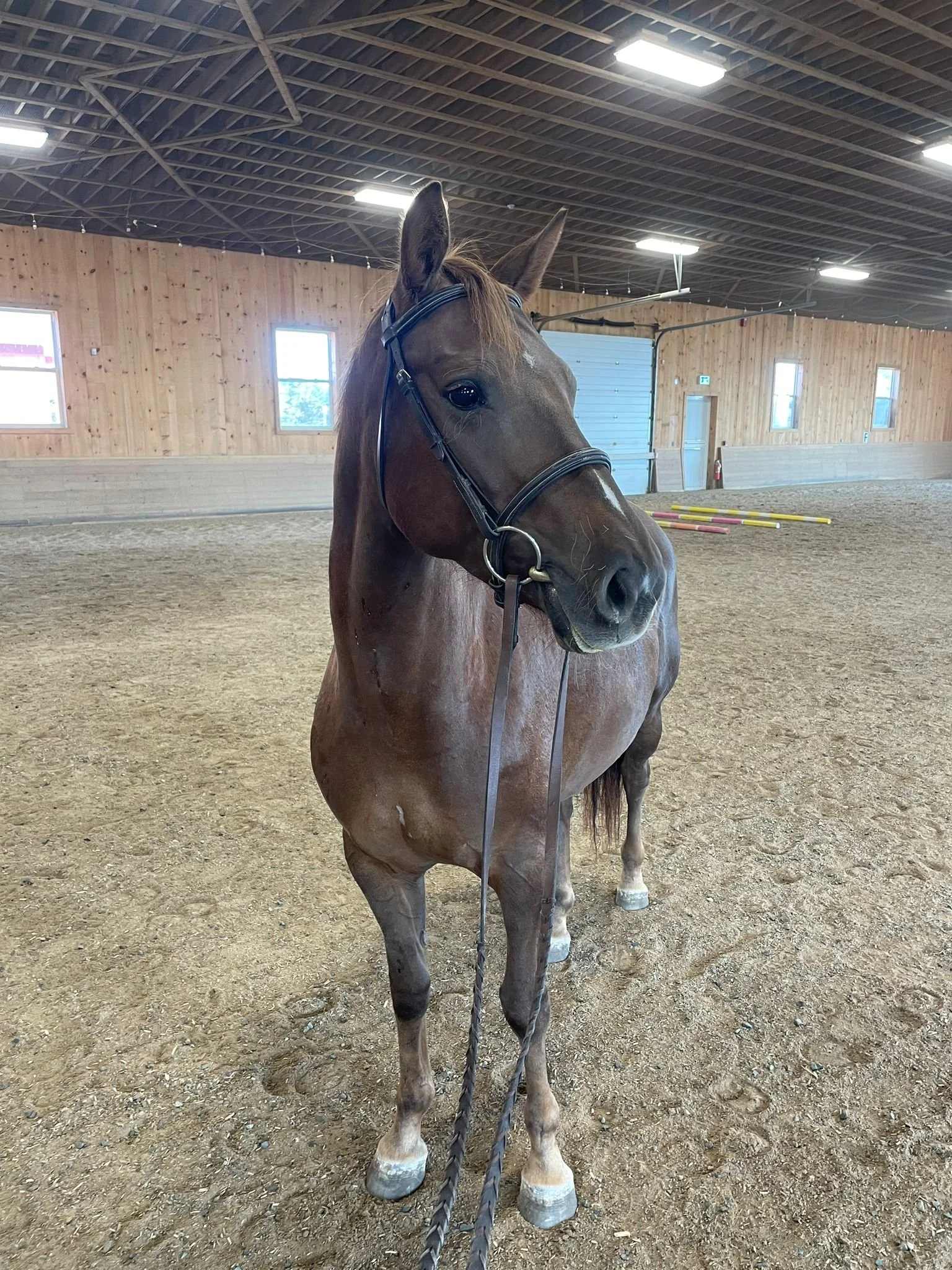 WhatsApp Image 2025-01-20 at 12.40.57_66cc56a3.jpg