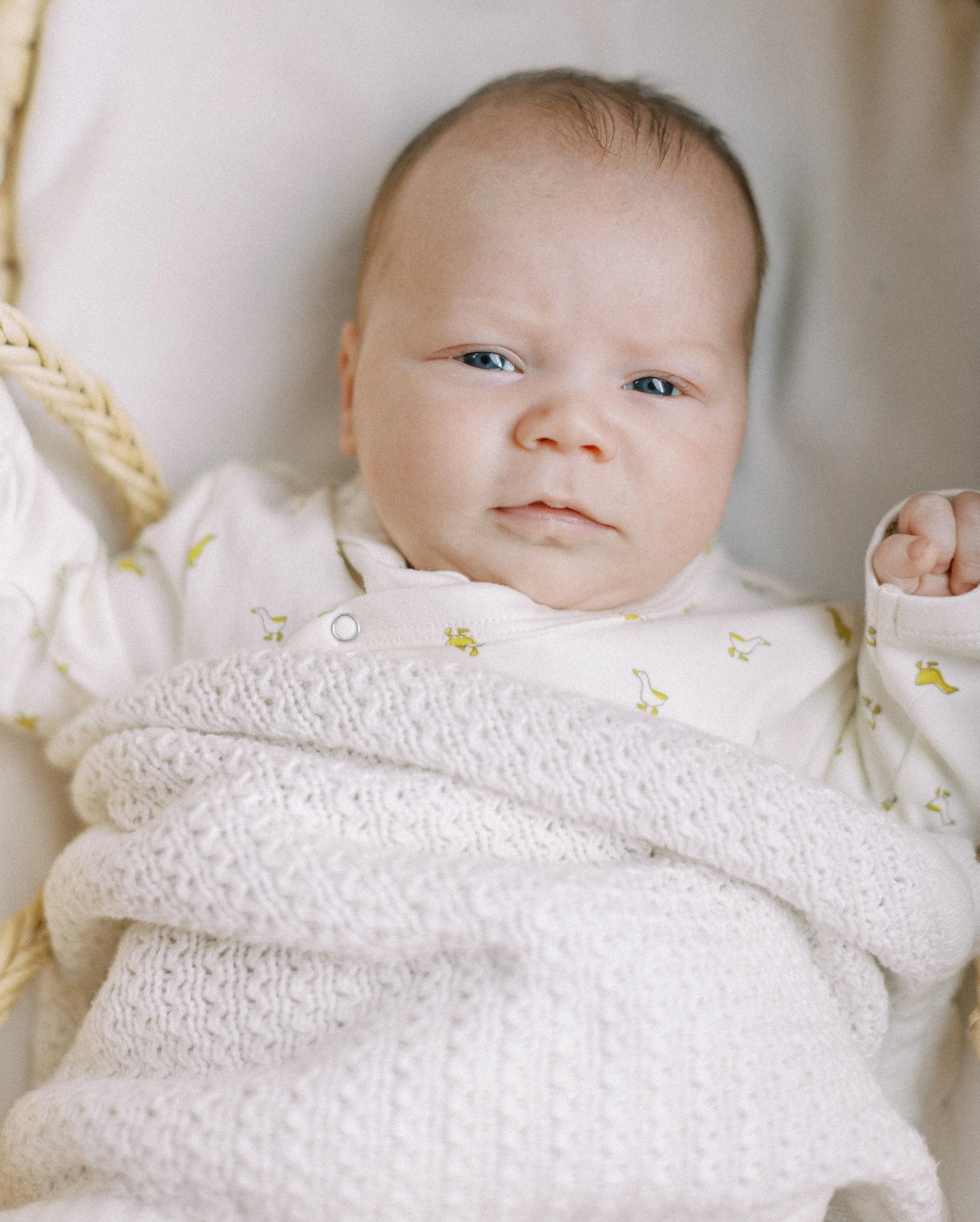 Best Minneapolis Maternity and Newborn Photographer — BRITTANY OLANDER