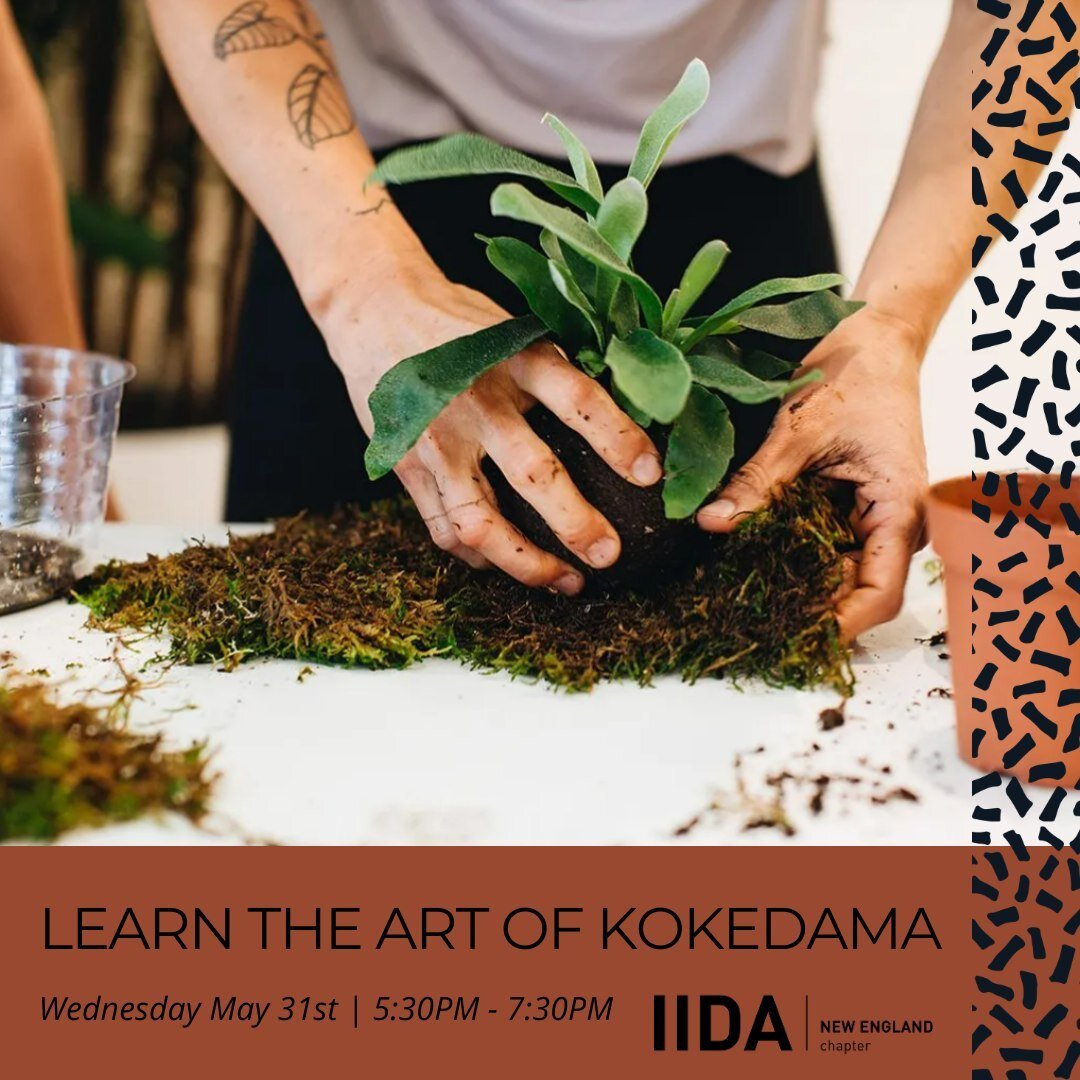 Derived by the bonsai practice, this ancient Japanese art form offers a simpler, more affordable way for people to enjoy the tranquility of a Japanese garden in their own home!🪴

Join us and find your wabi-sabi with friends at this fun learning work