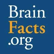 brainfactsorg.jfif
