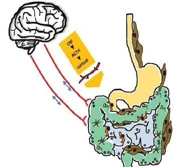 microbiom_brain.jpeg