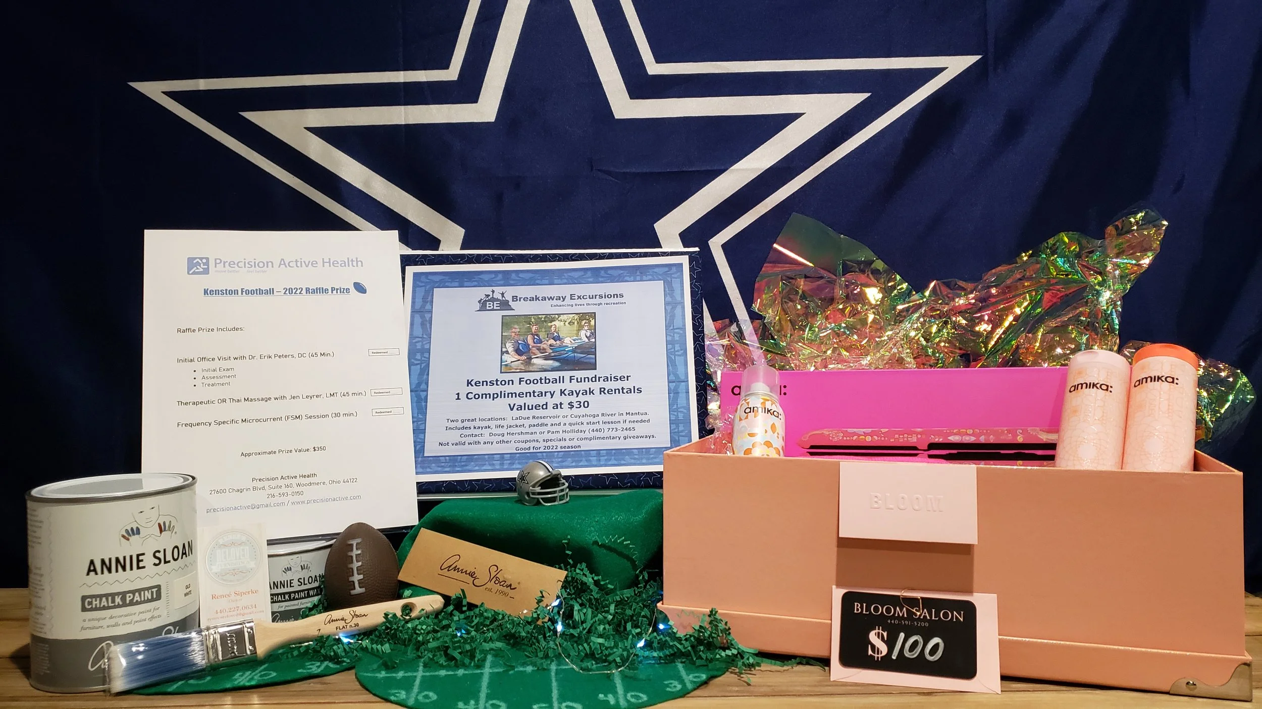 Prize Package 19 - 

Donated by:
Bloom Hair Salon,
Precision Active Health,
Renee's Beloved Furnishings,
Breakaway Excursions