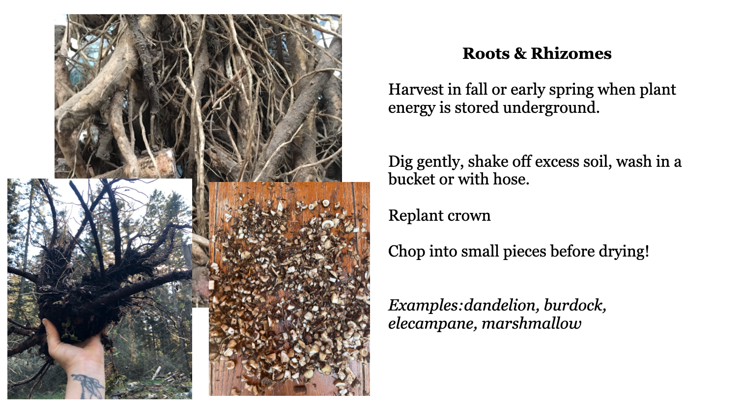 Screenshot 2025-09-26 at 5.13.13 PM.png