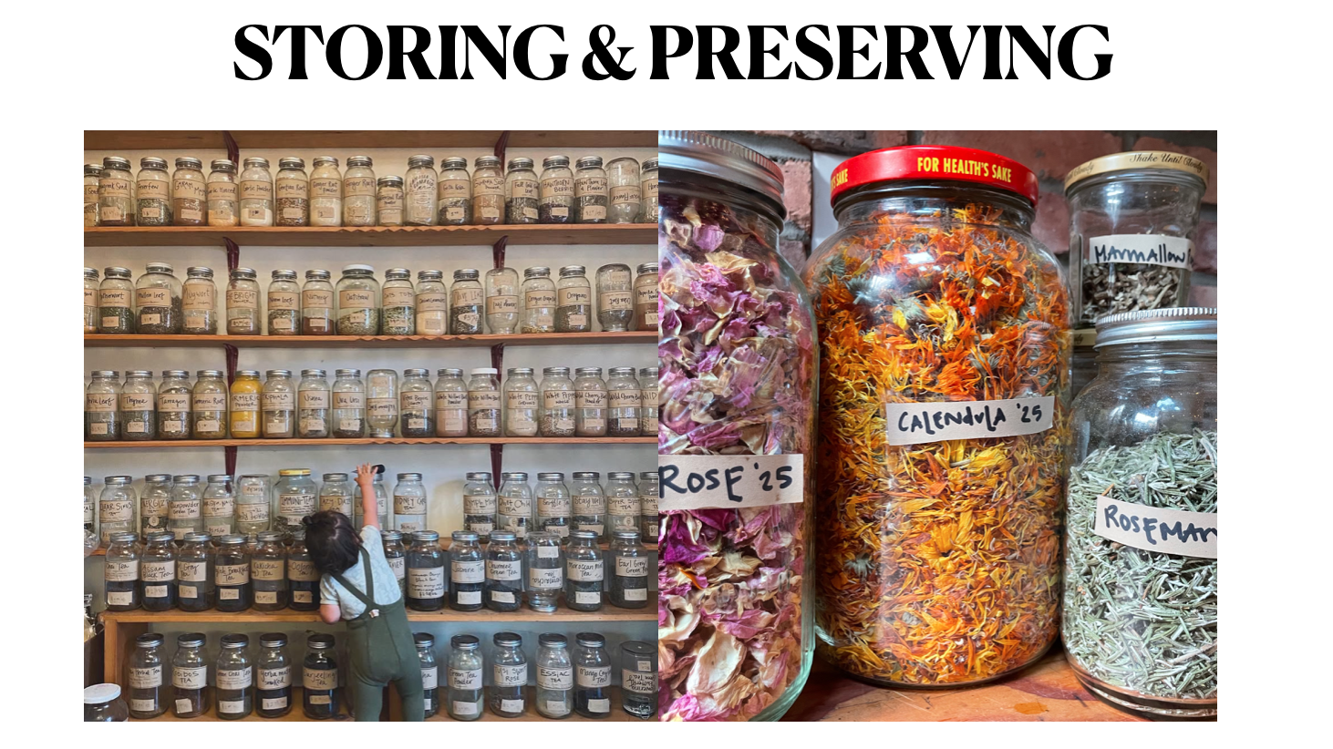 Screenshot 2025-09-26 at 5.13.39 PM.png