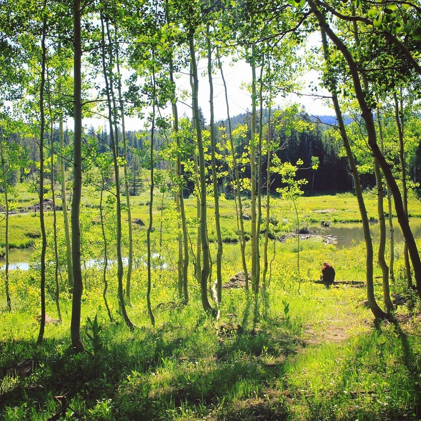 The Ruthless Elimination of Hurry