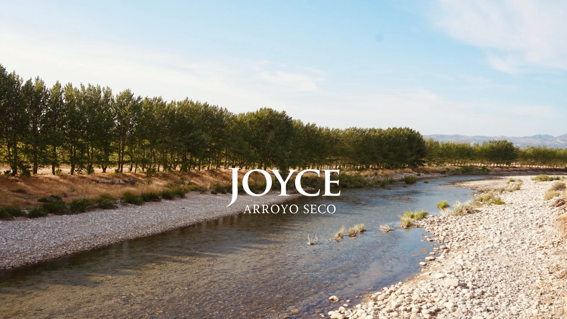 Joyce Wine Co.