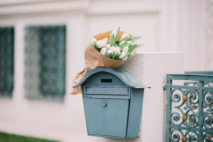 tulipbluemailbox.jpg