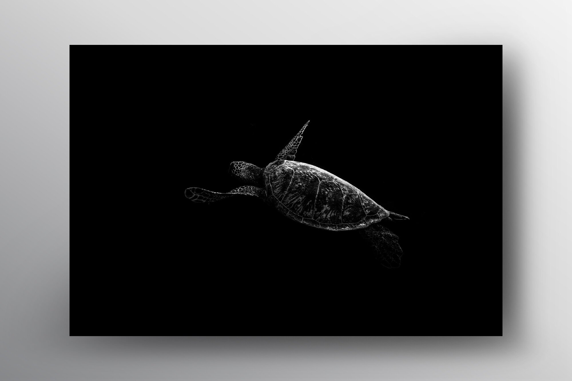 Aquatic-Floating+Frame-Lukas+Griffin.jpg
