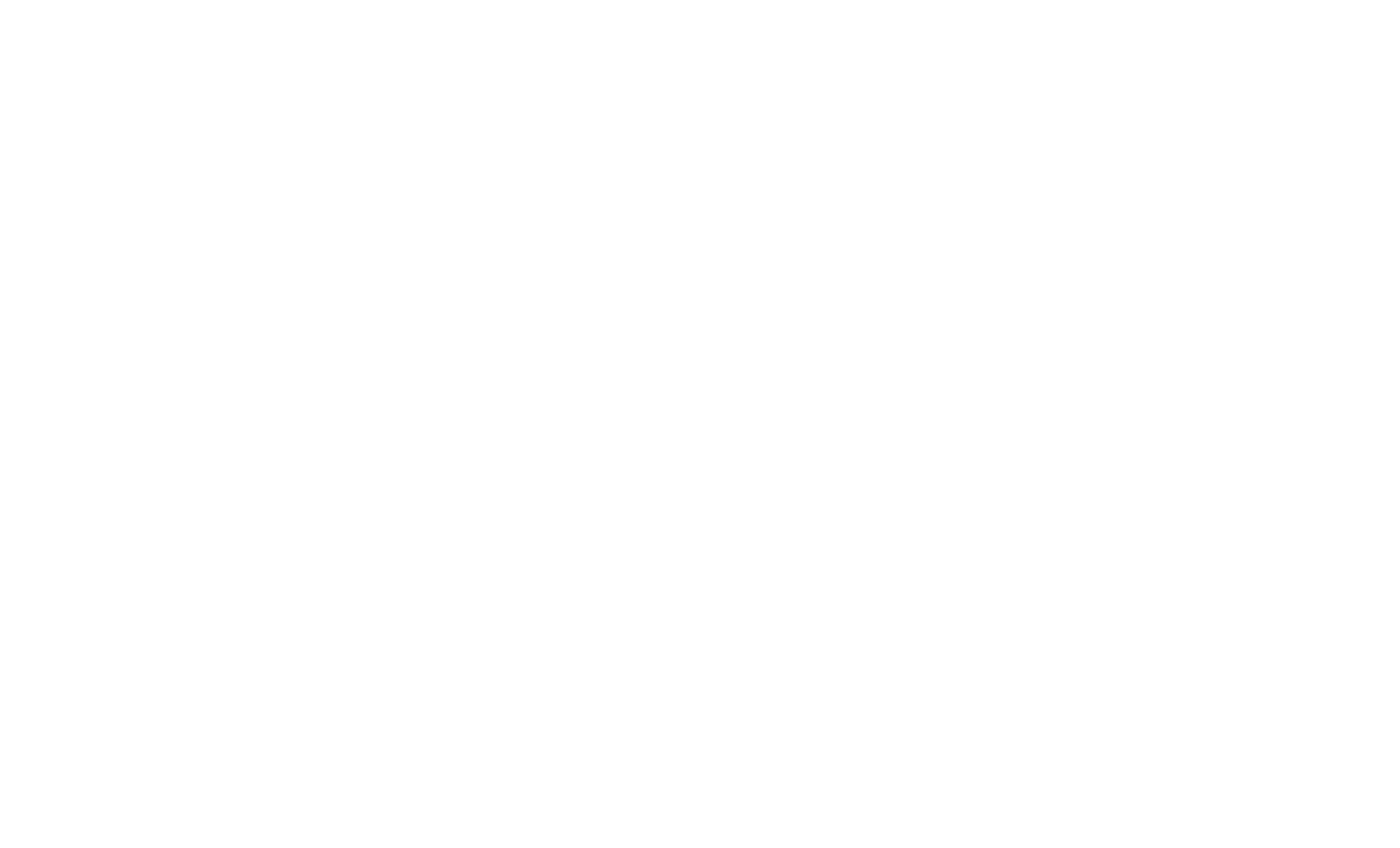 BEN ELLIS