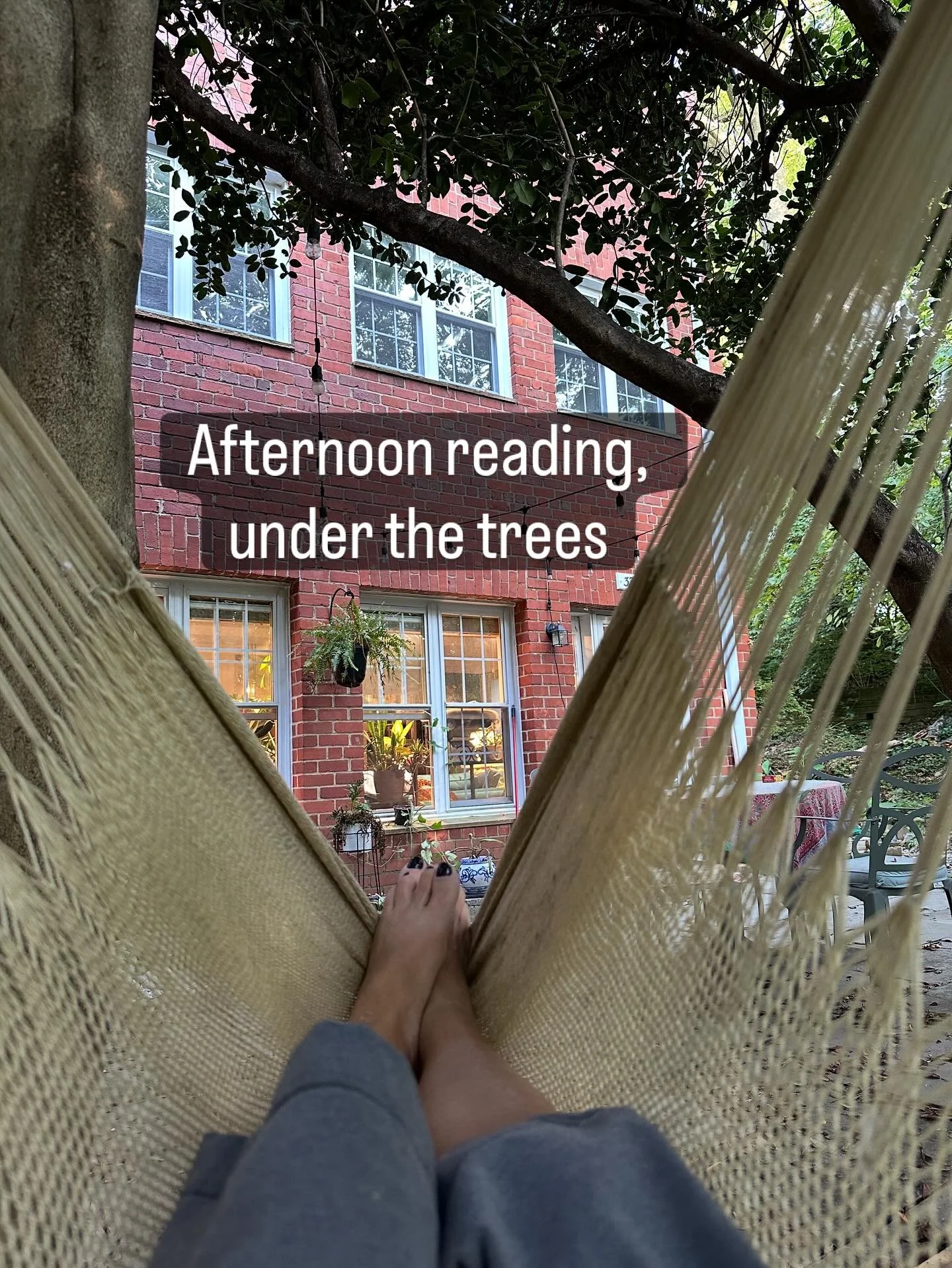 Love spending time in my ancient hollies. #grateful 

#getoutside #read #storiesoutdoors #hammocklife